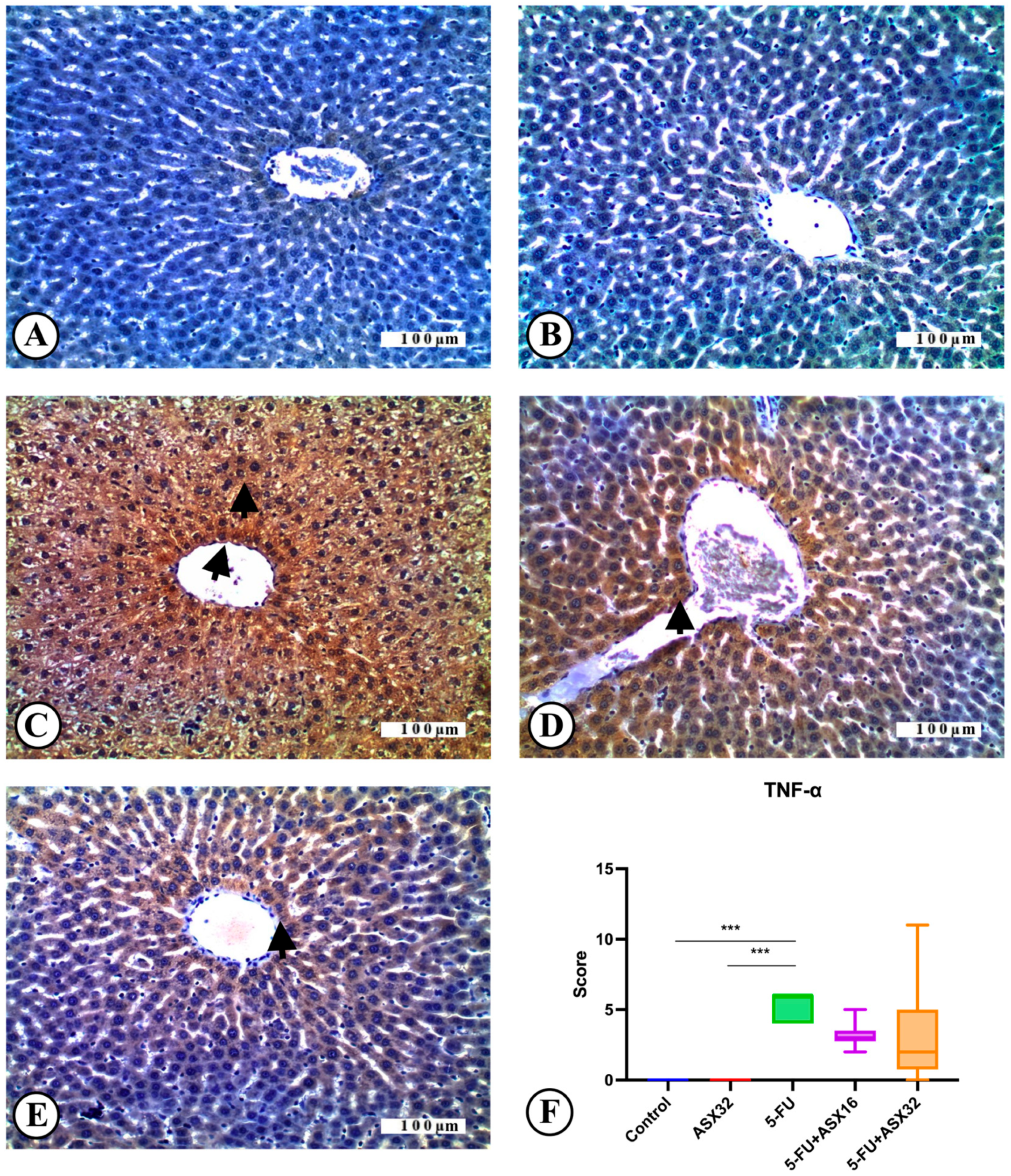 Nutrients 17 01230 g005
