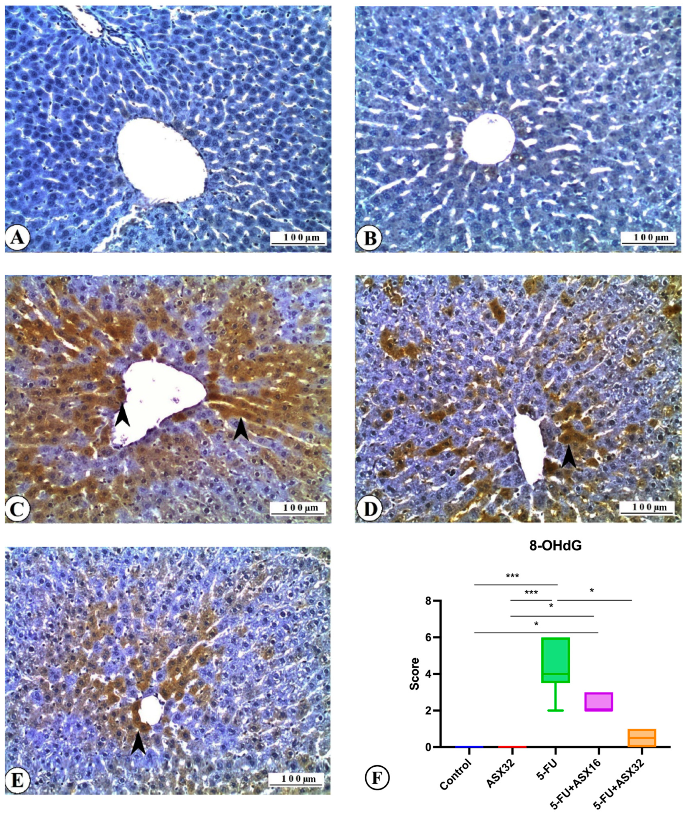 Nutrients 17 01230 g006