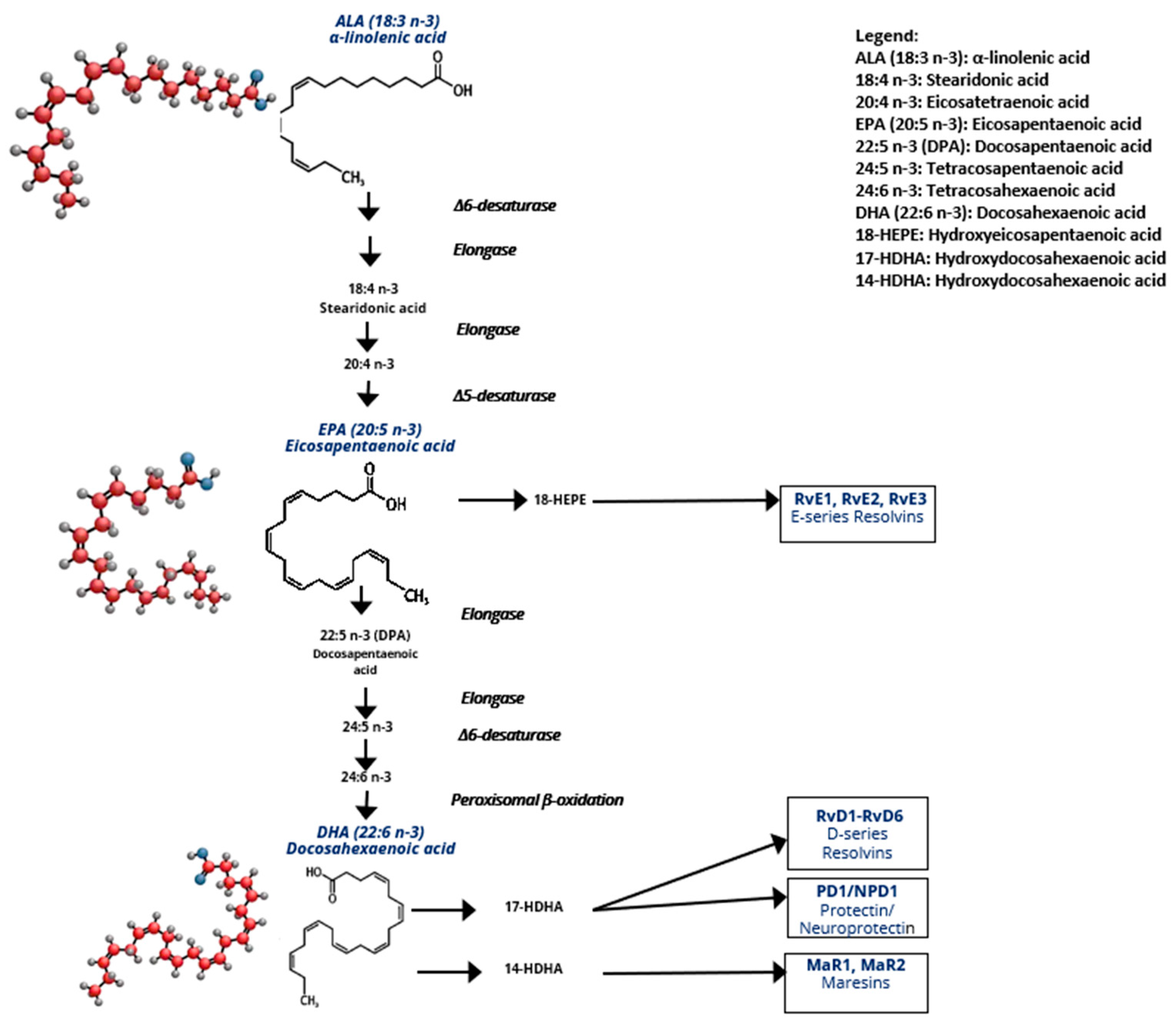 Nutrients 17 01253 g001
