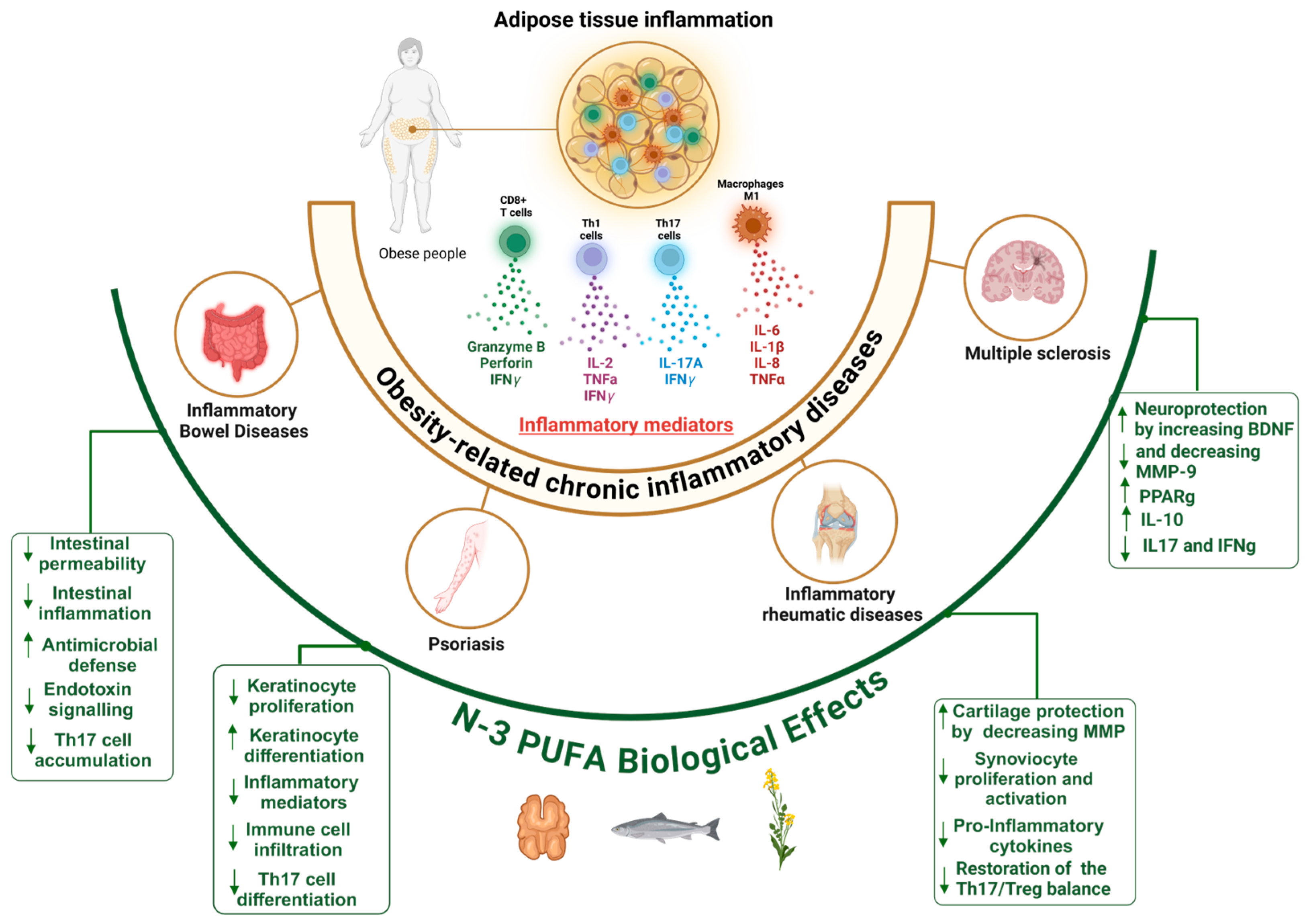 Nutrients 17 01253 g002