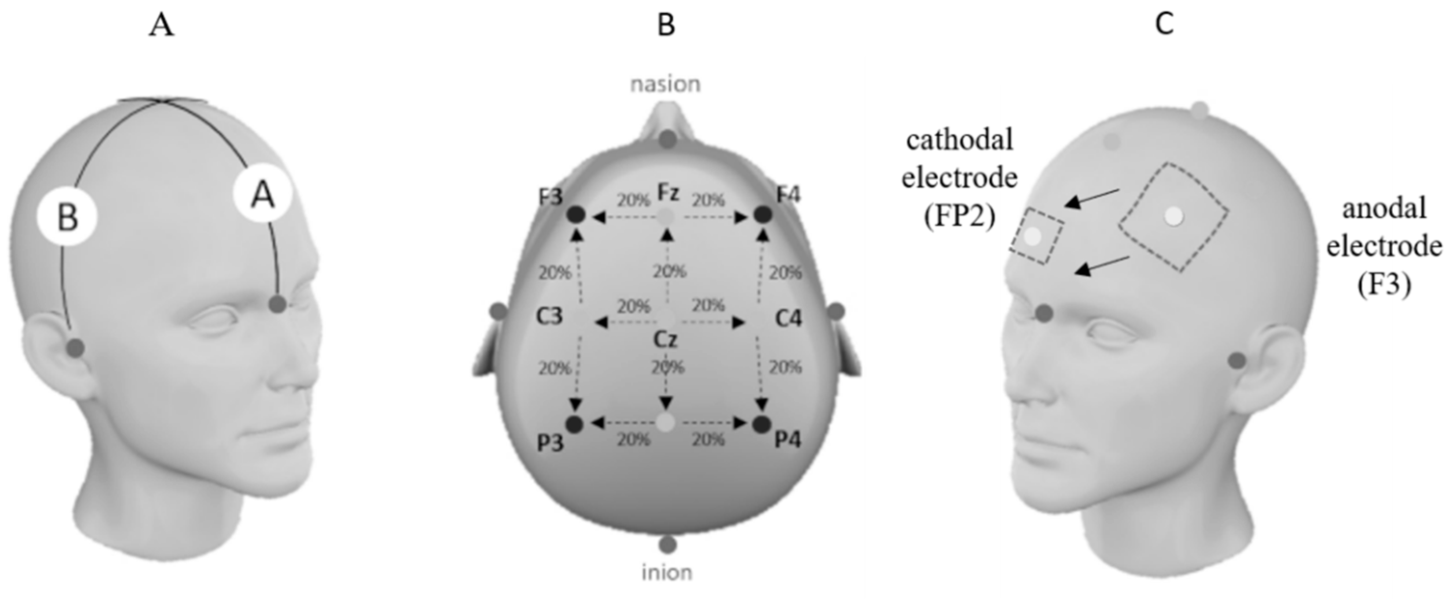 Nutrients 17 01261 g002