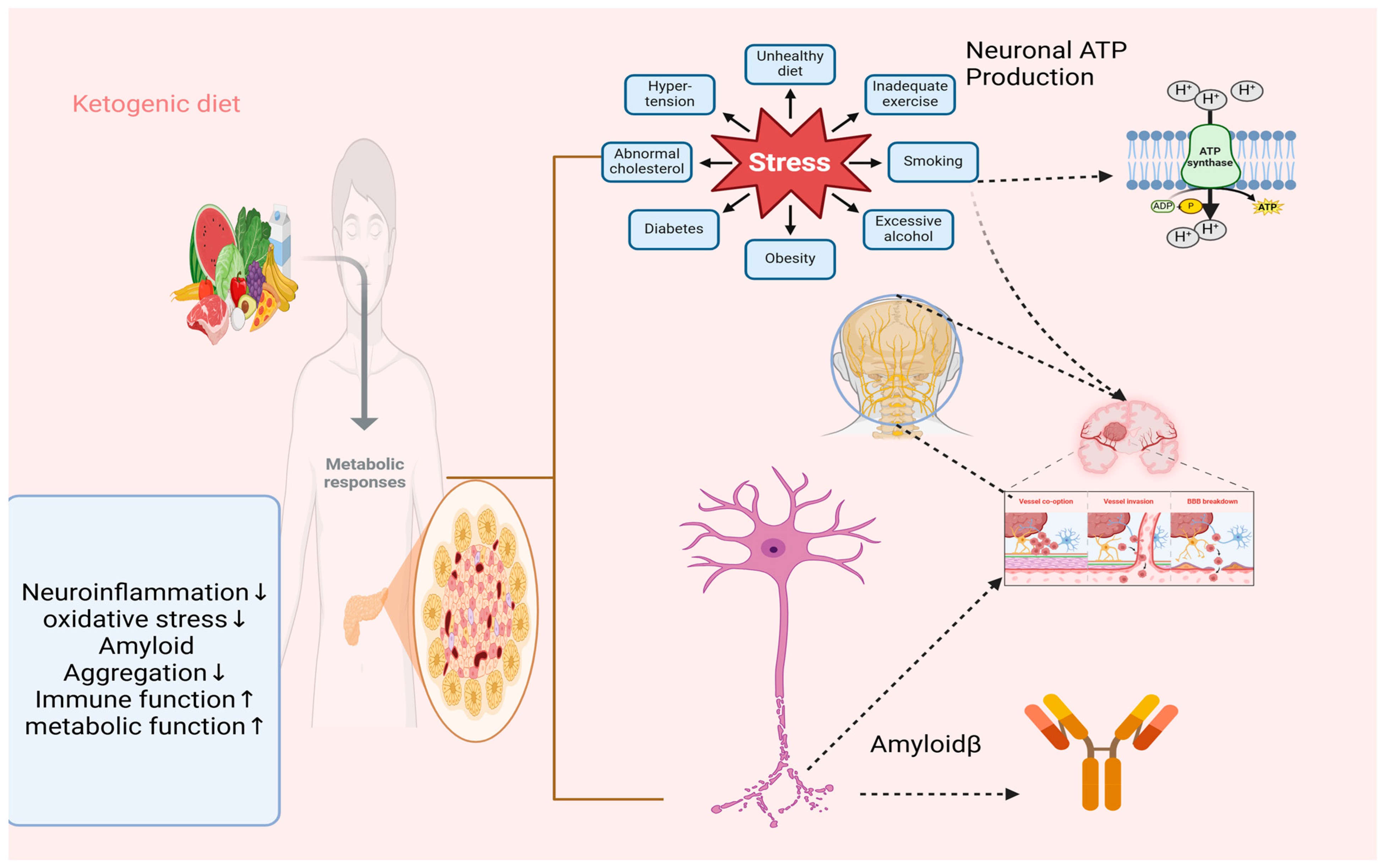 Nutrients 17 01268 g001
