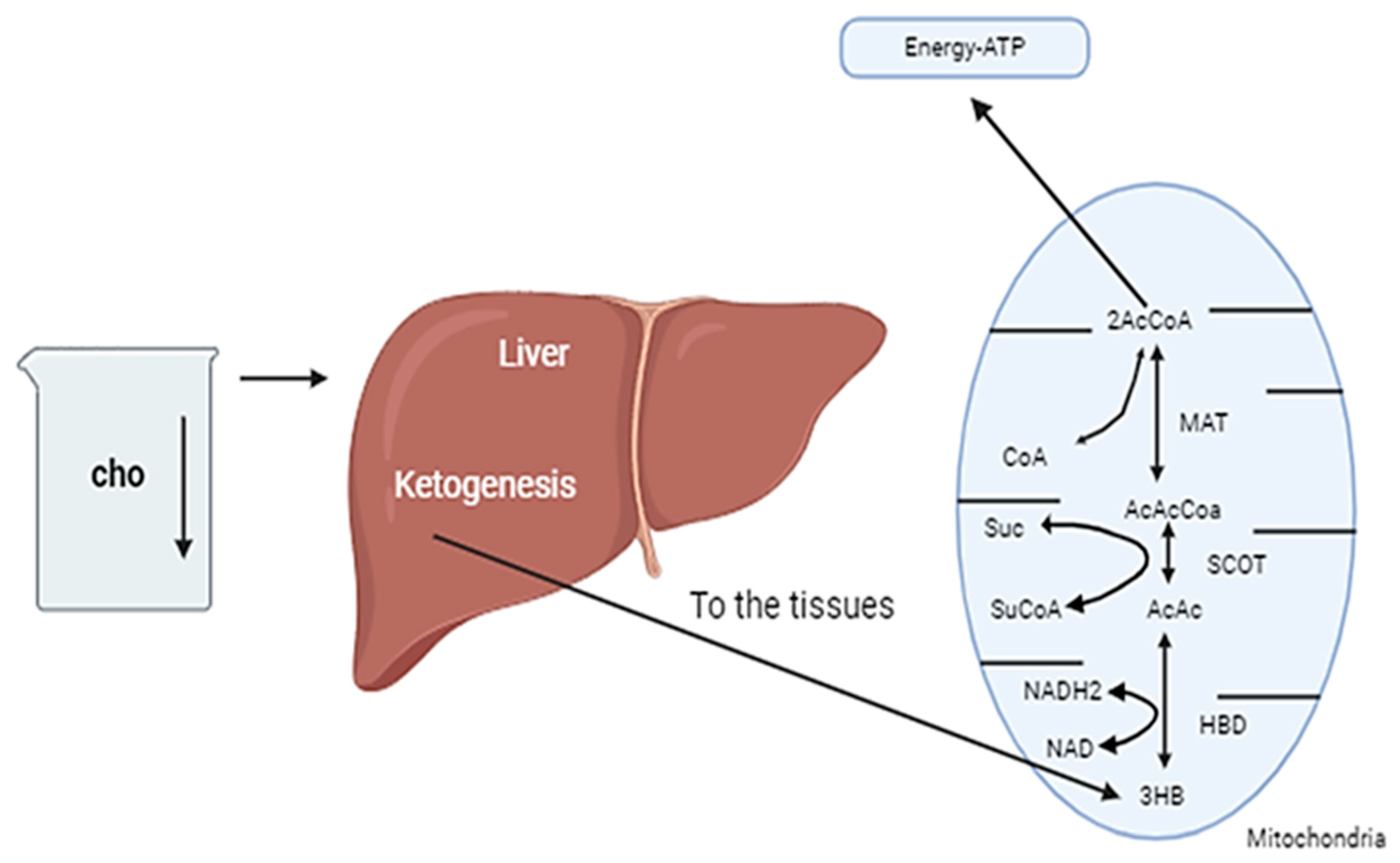 Nutrients 17 01268 g002