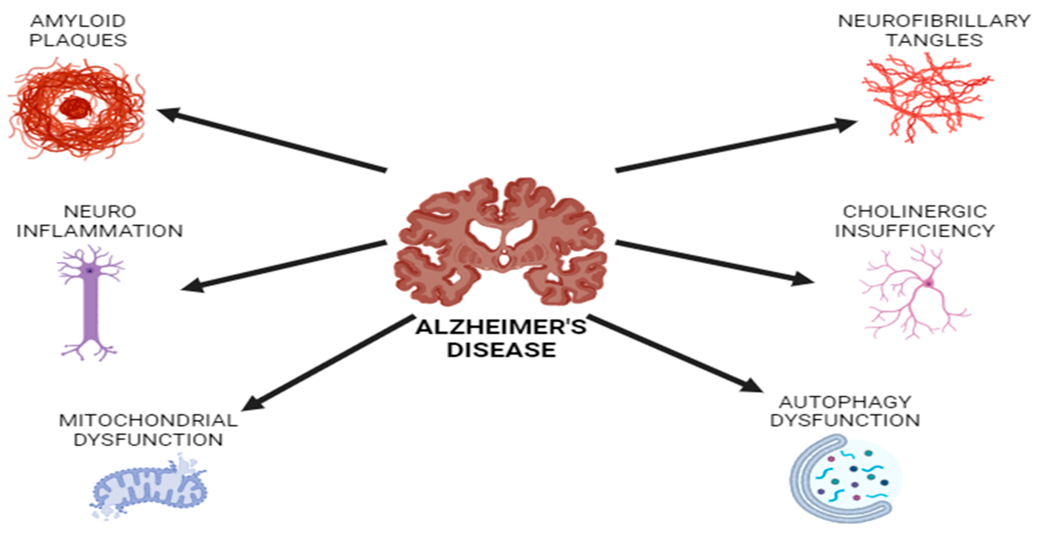 Nutrients 17 01268 g003