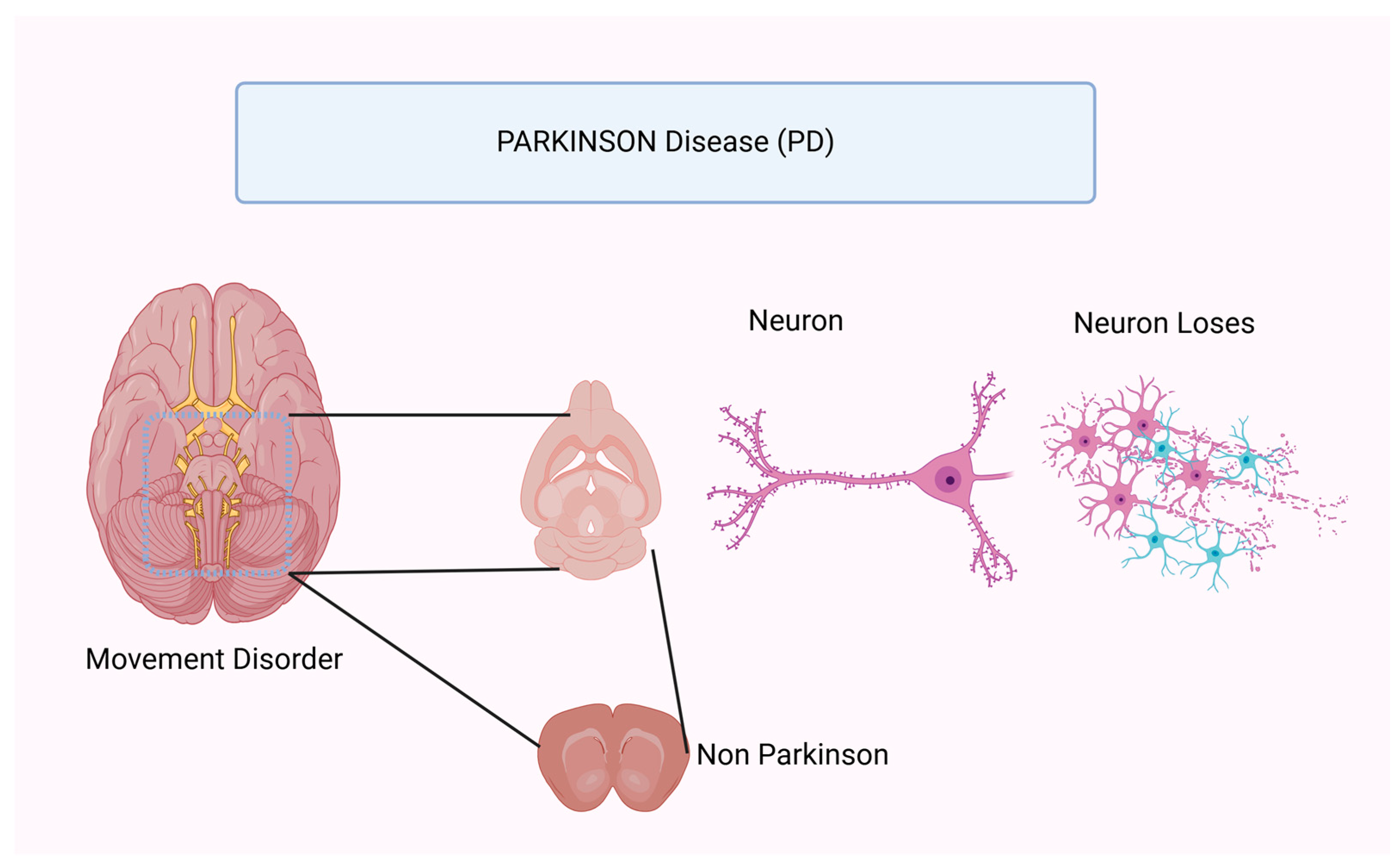 Nutrients 17 01268 g004