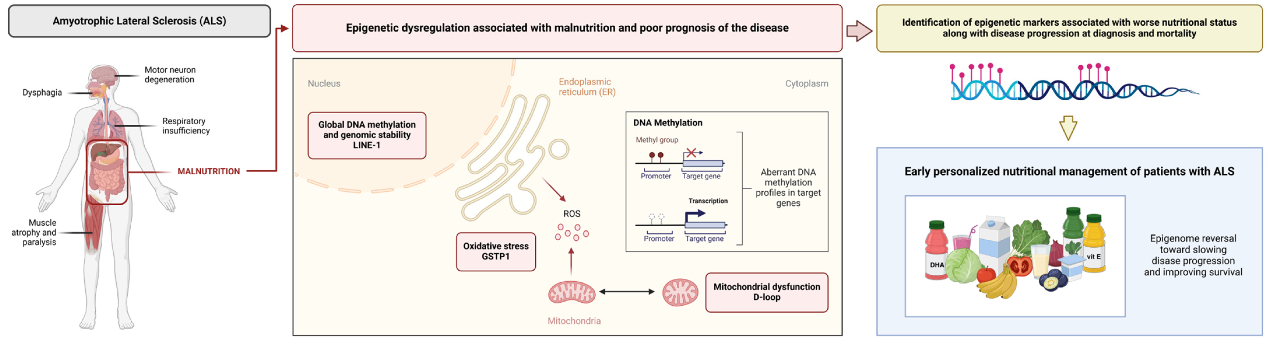 Nutrients 17 01295 g006