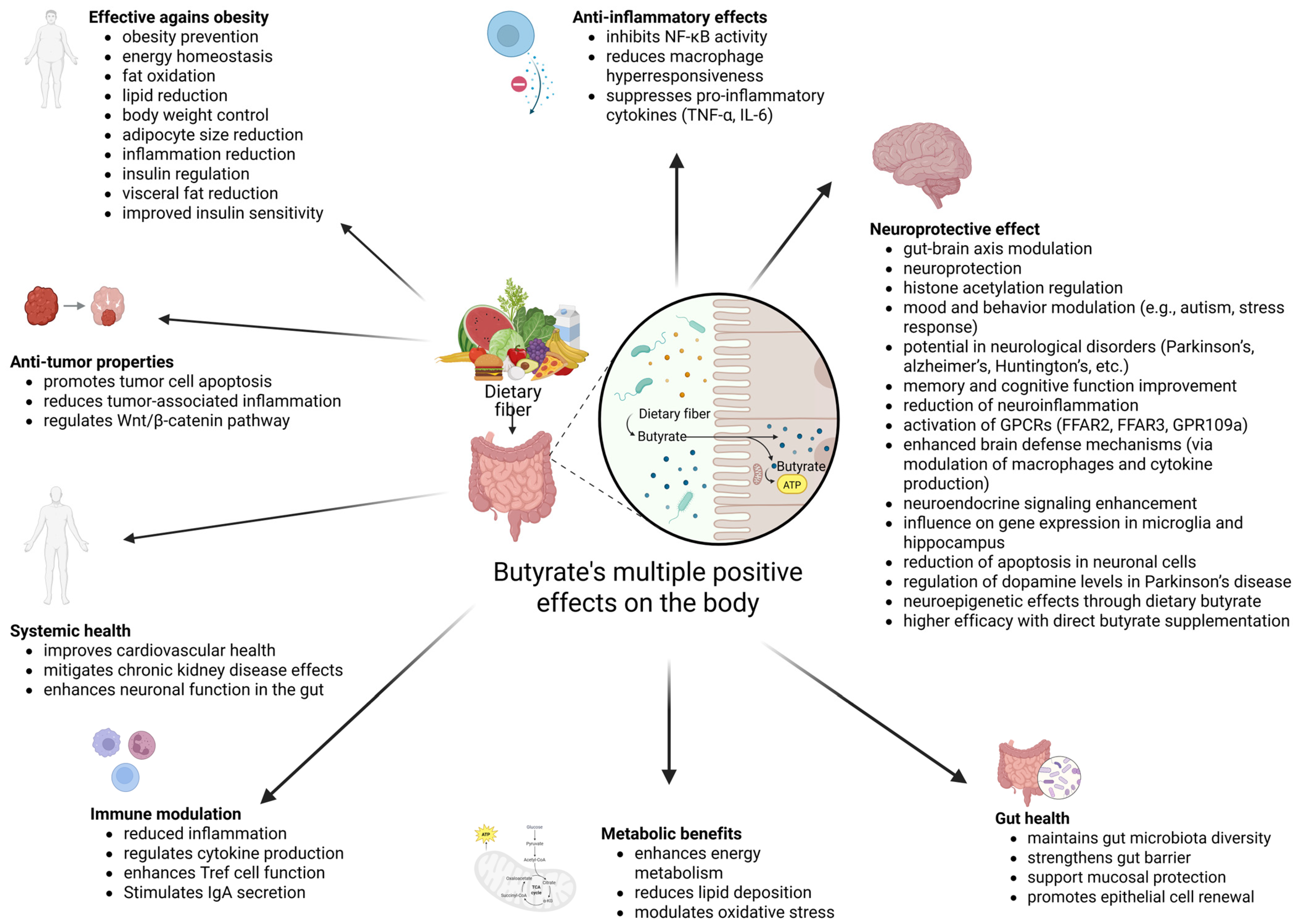 Nutrients 17 01305 g003 Nutrients 17 01305 g003