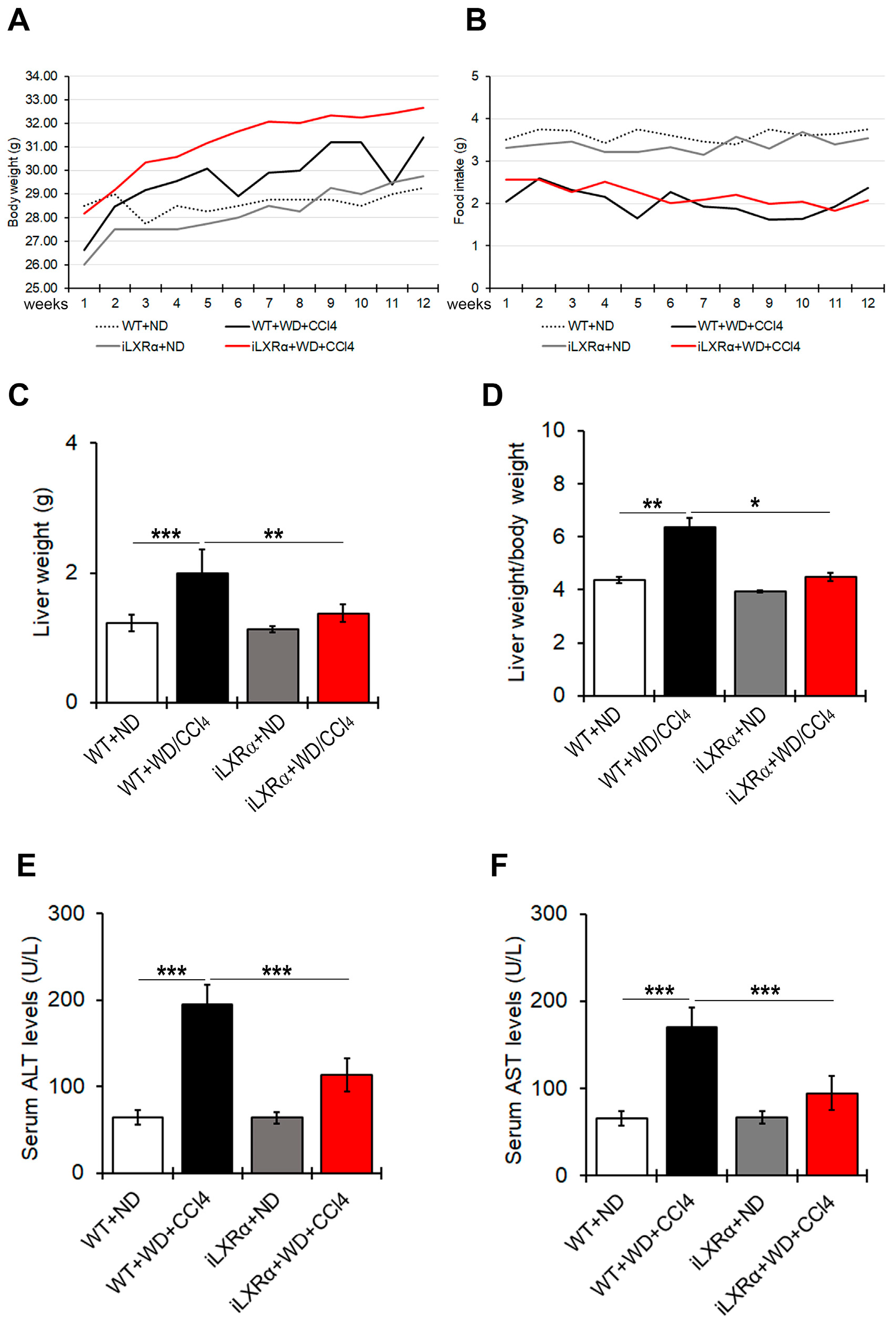 Nutrients 17 01349 g001