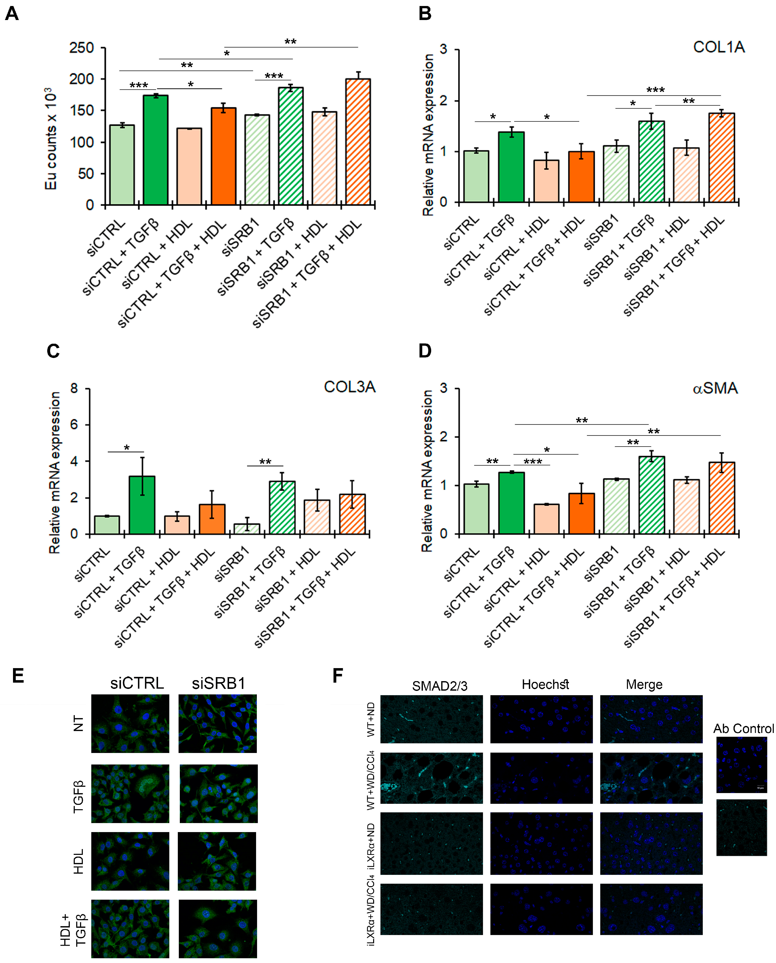 Nutrients 17 01349 g007