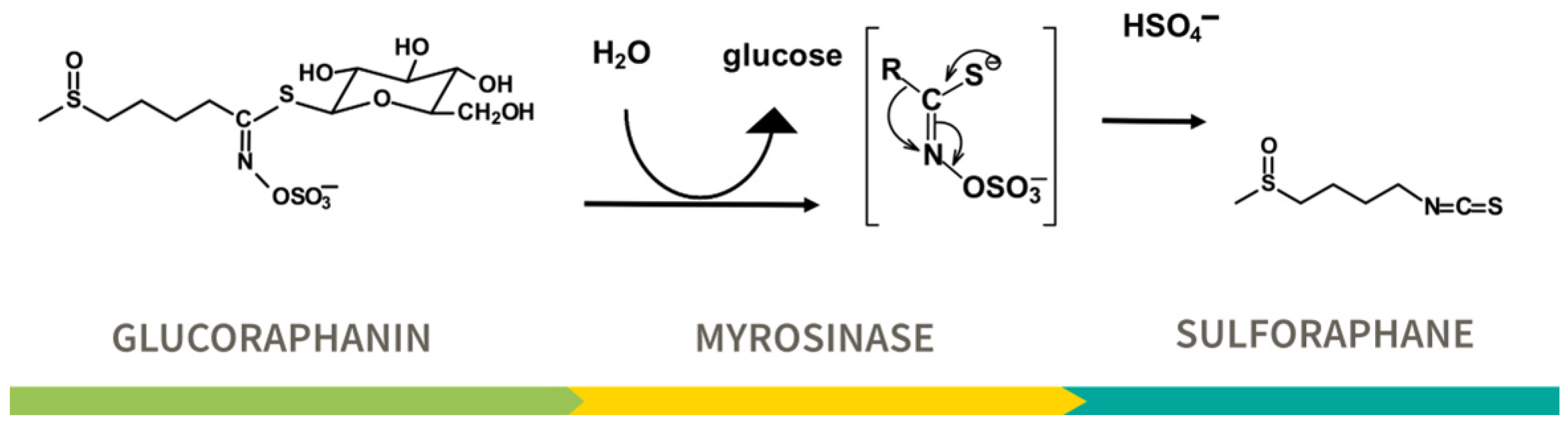 Nutrients 17 01353 g002