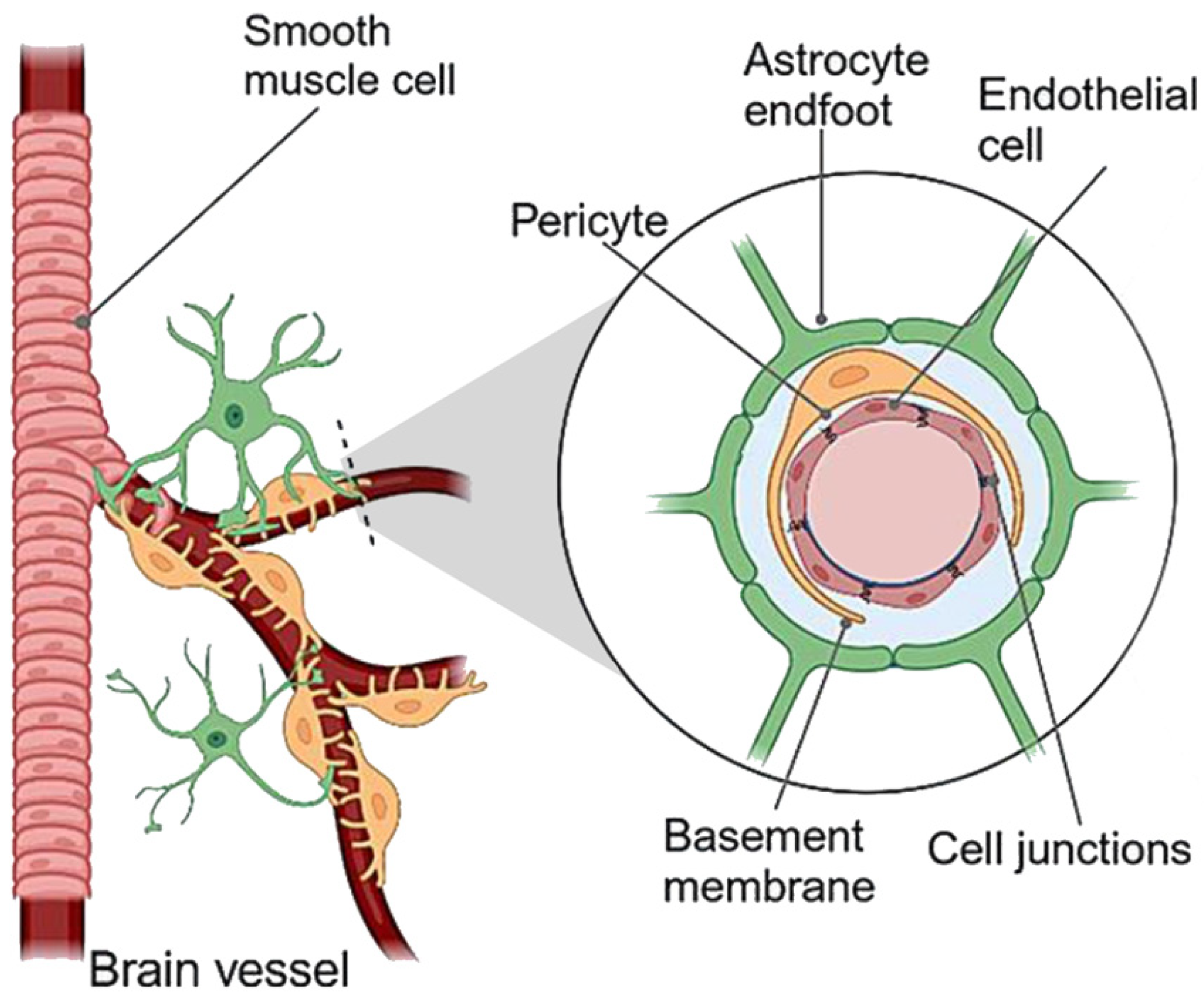 Nutrients 17 01353 g004