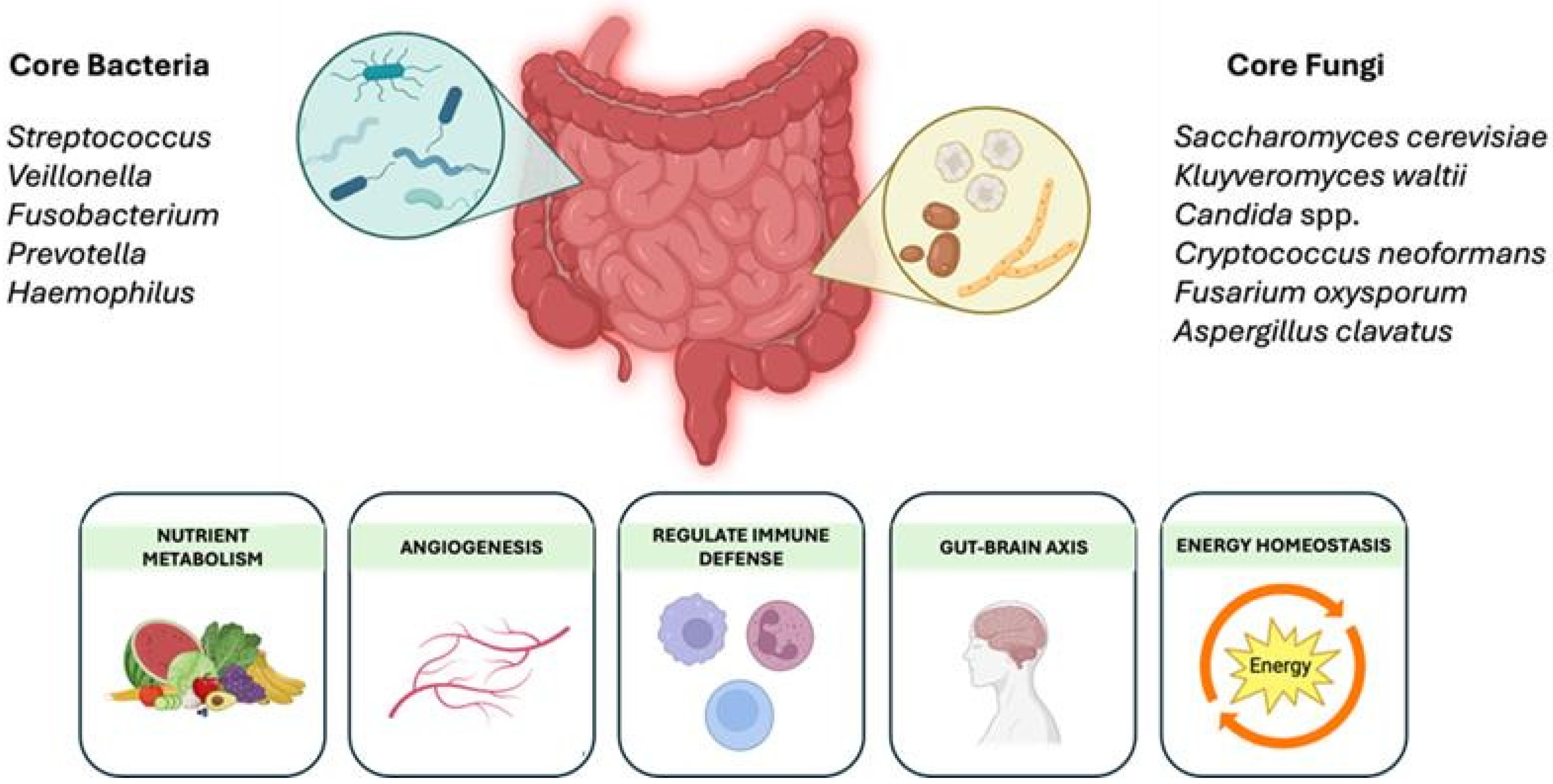 Nutrients 17 01365 g001