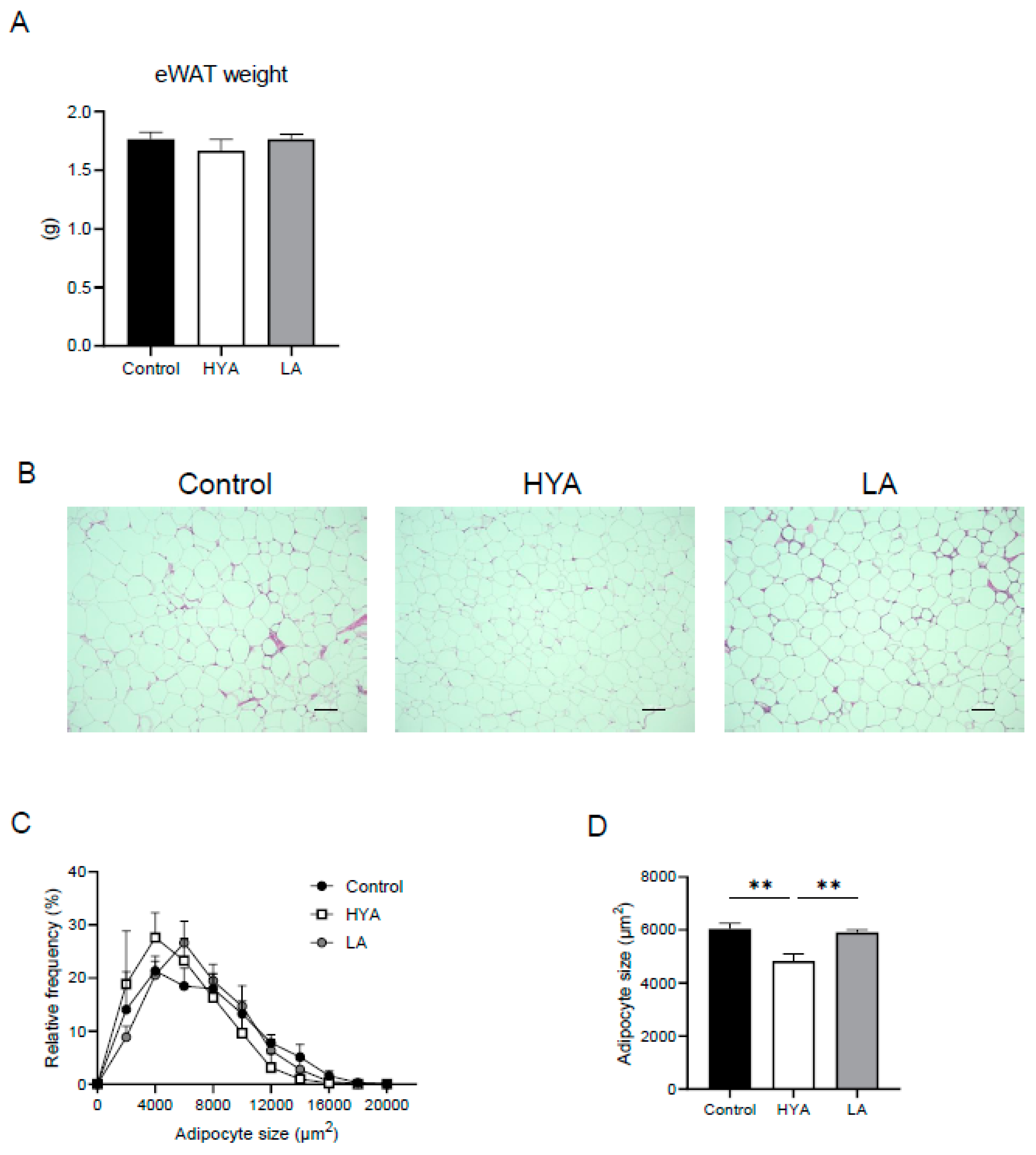 Nutrients 17 01393 g001