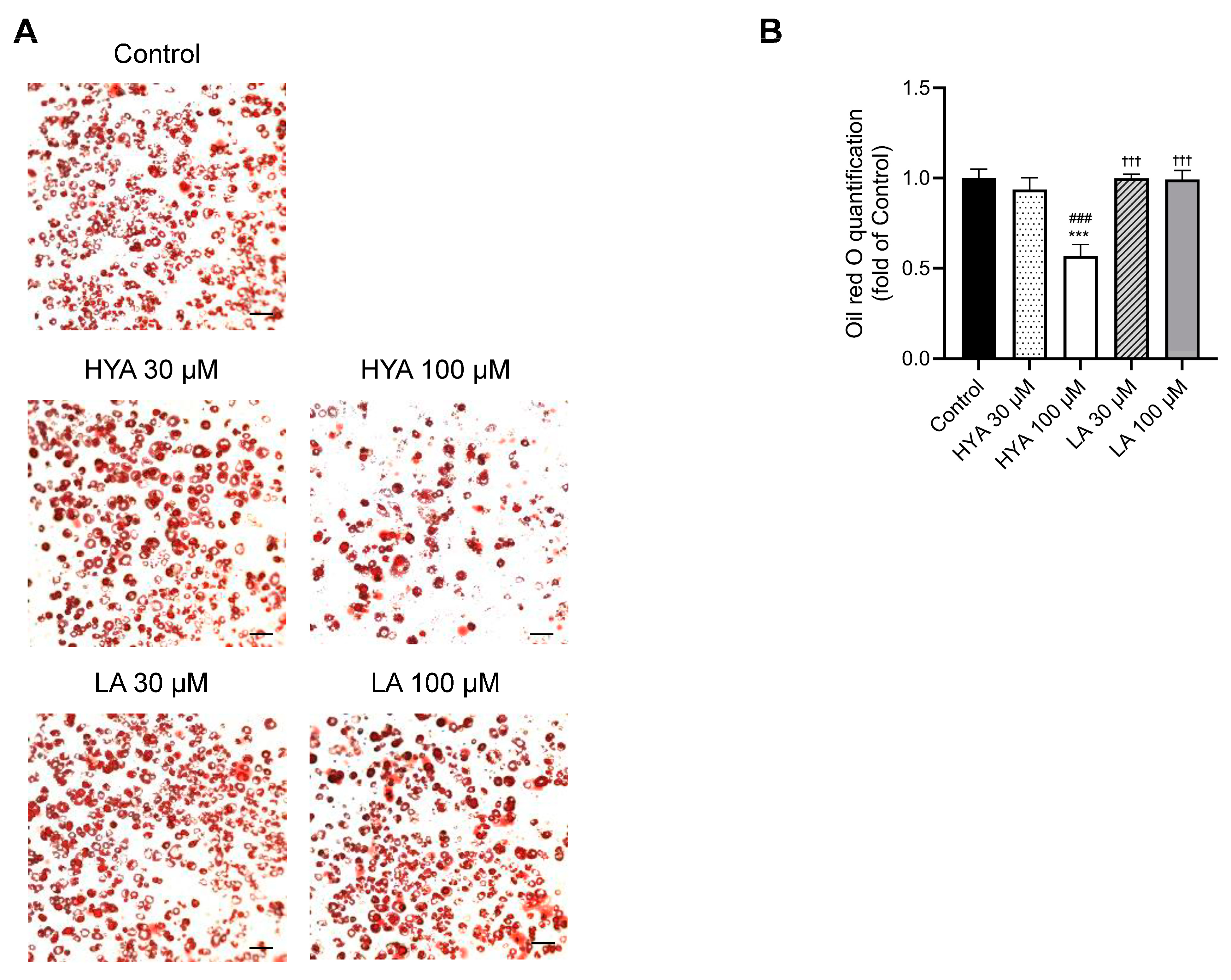 Nutrients 17 01393 g002a