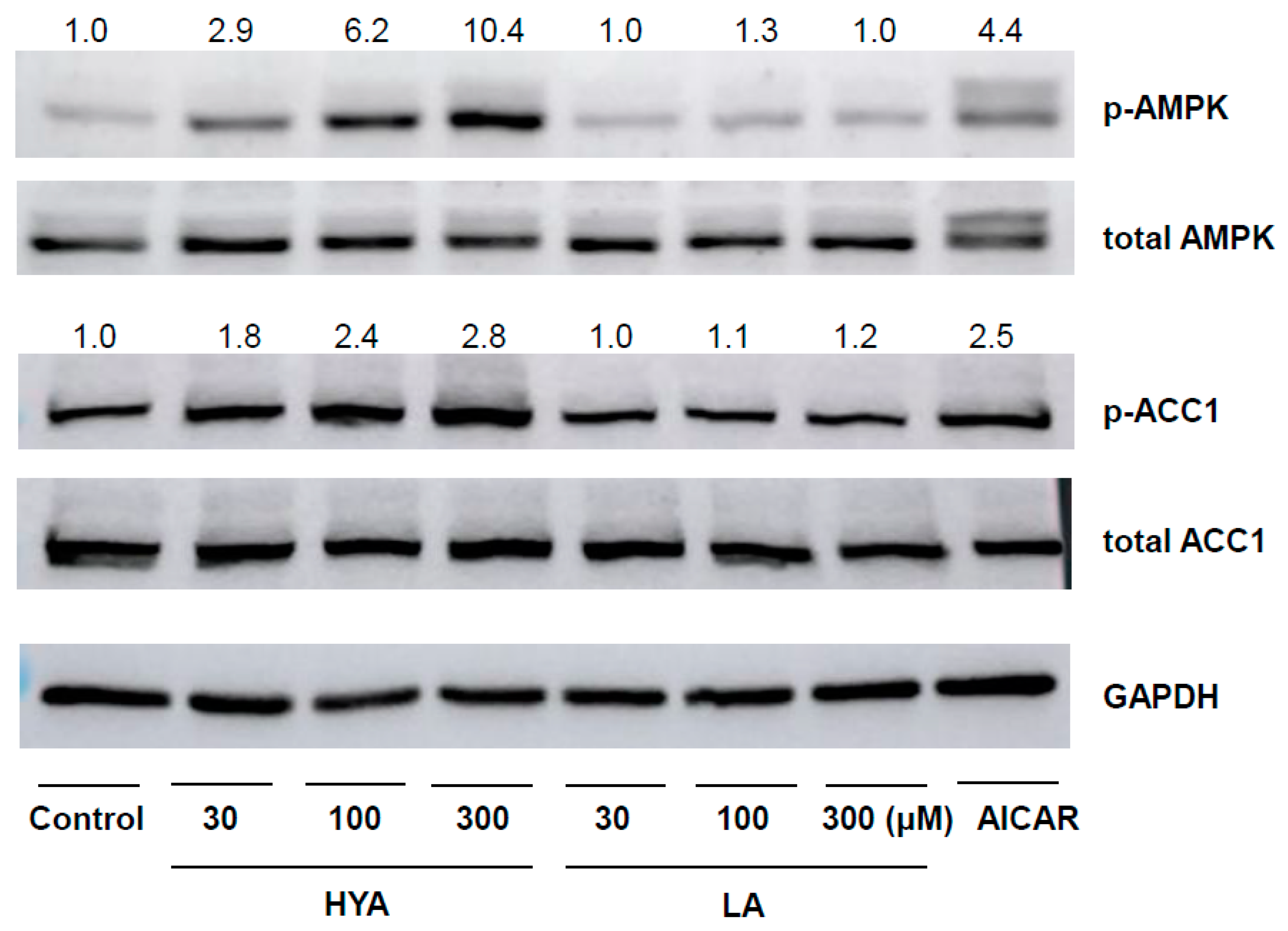 Nutrients 17 01393 g003