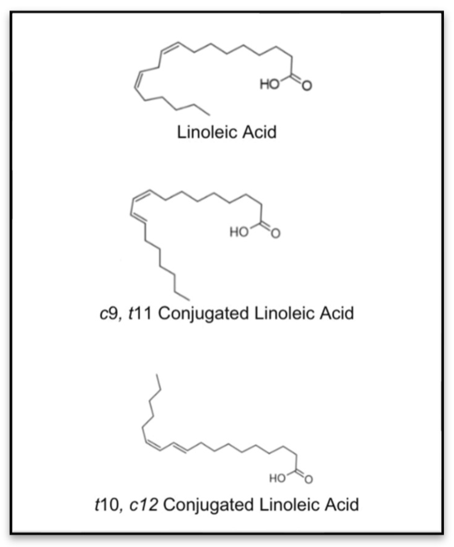Nutrients 17 01395 g001