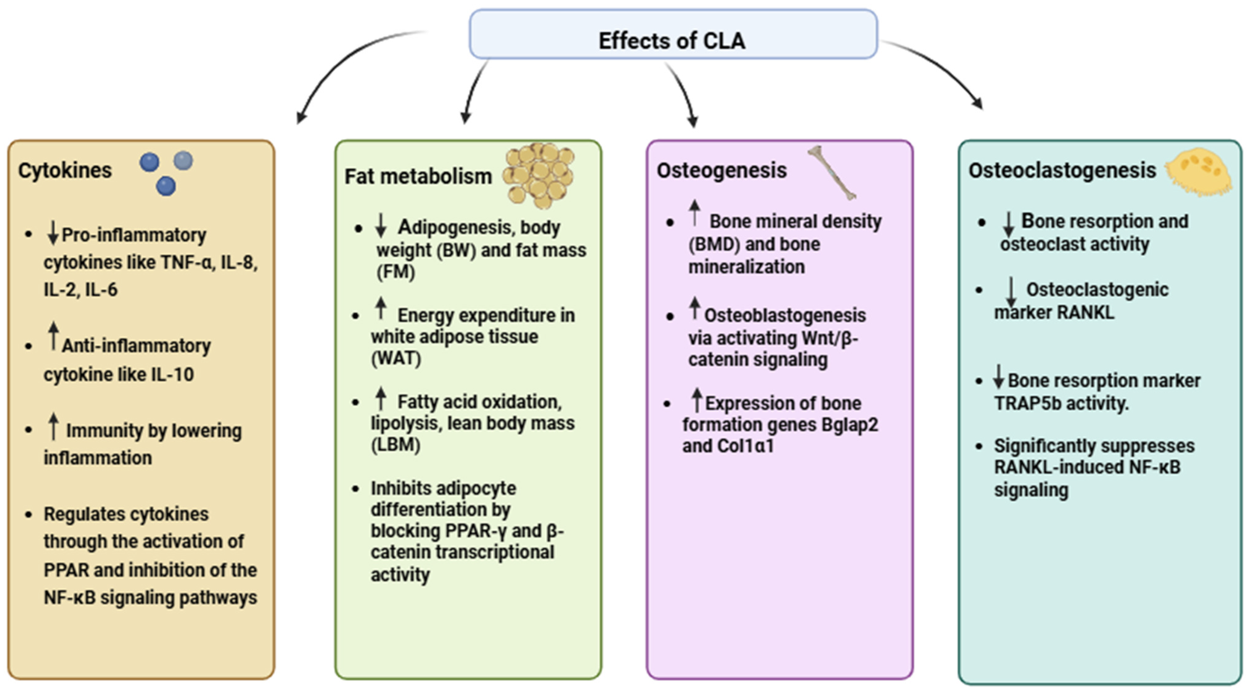 Nutrients 17 01395 g002