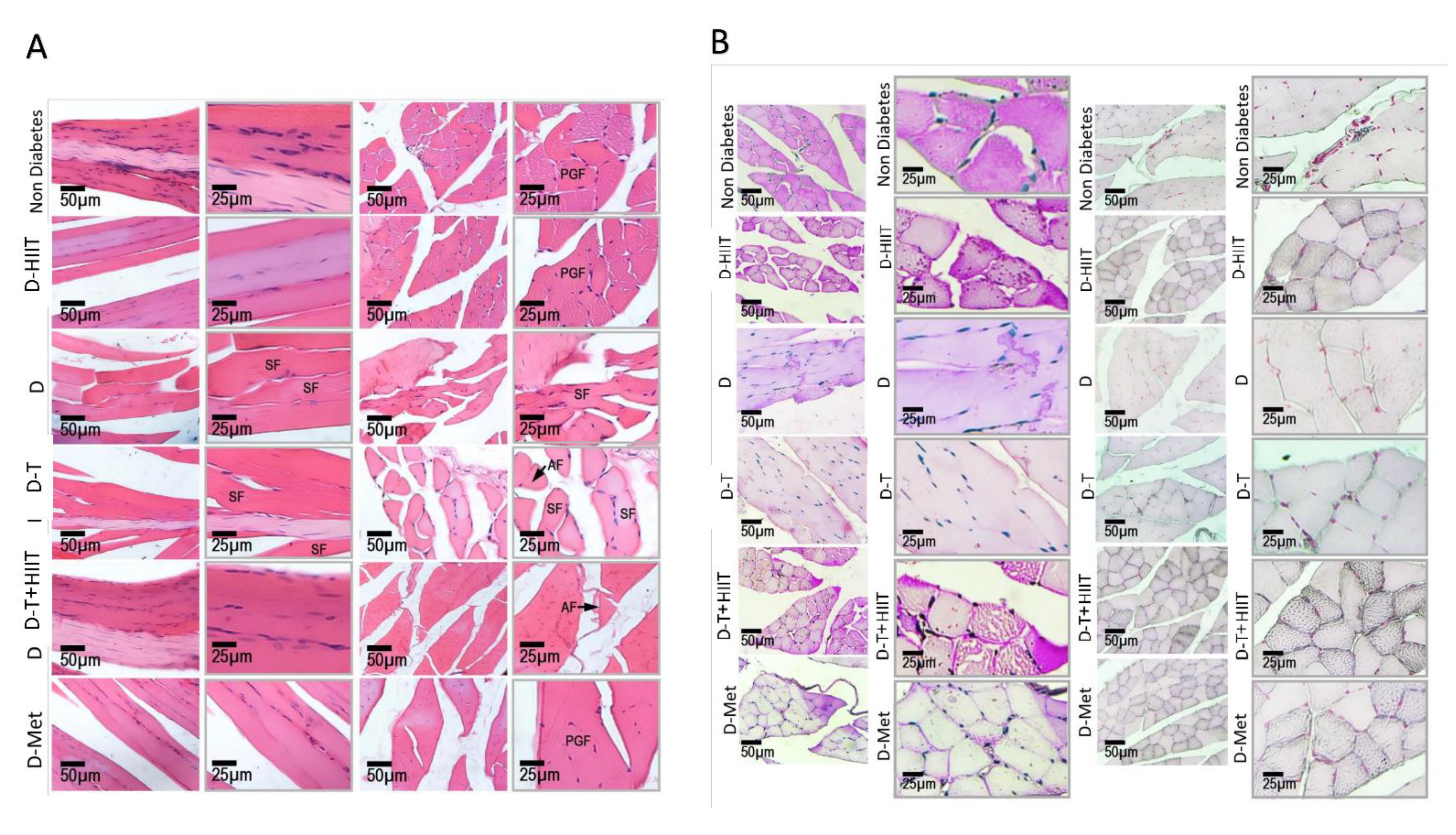 Nutrients 17 01404 g005 Nutrients 17 01404 g005