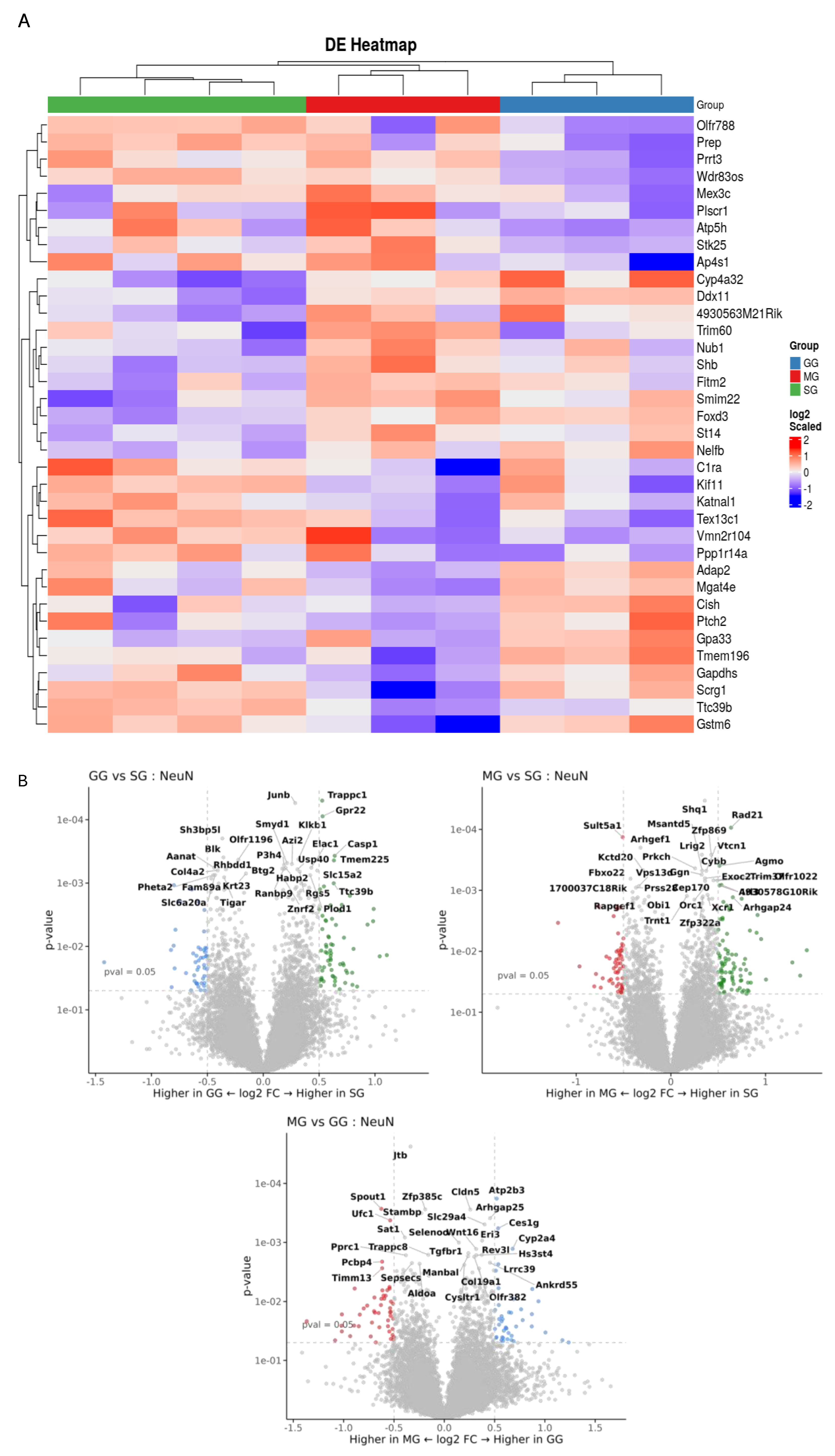 Nutrients 17 01416 g006