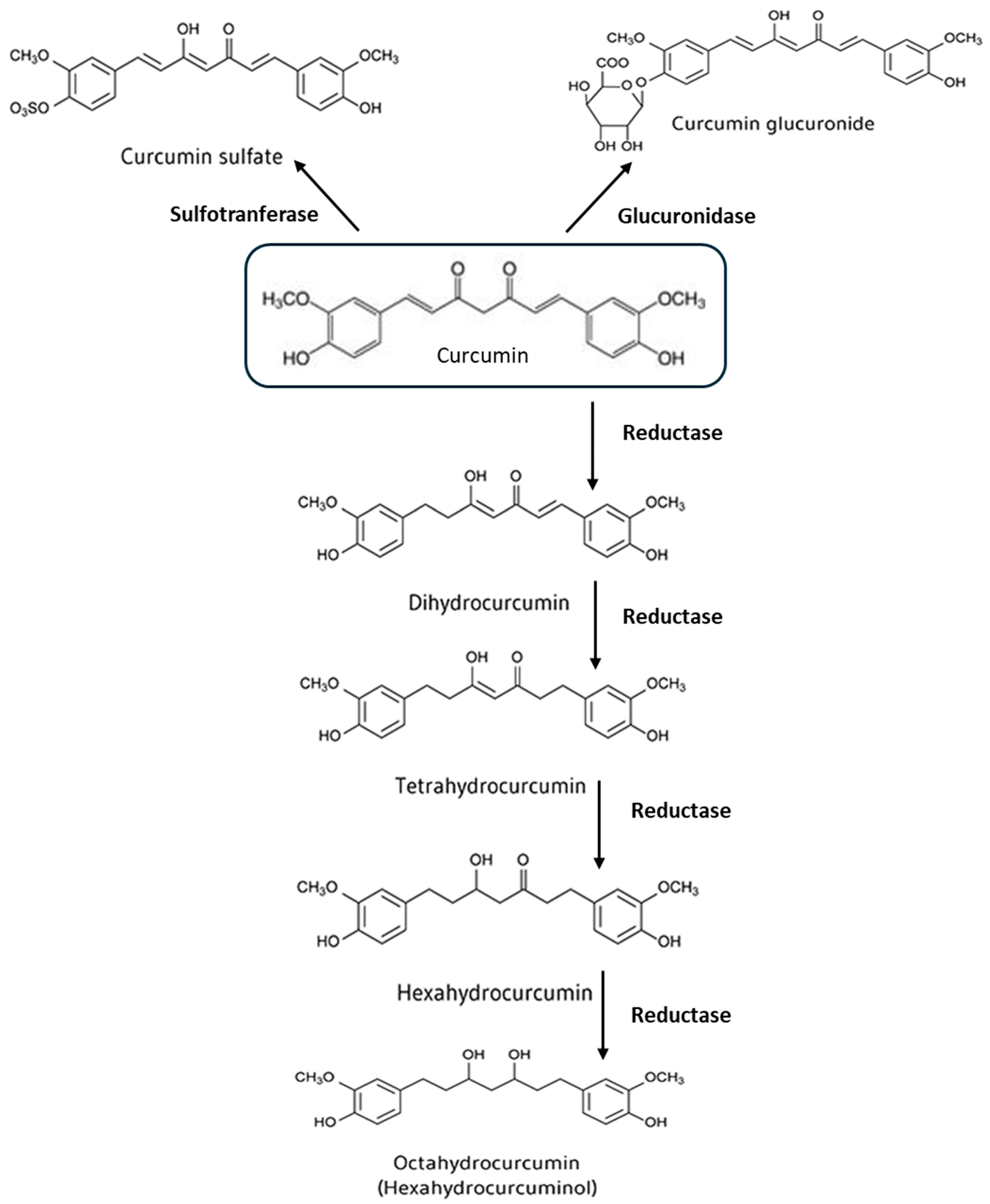 Nutrients 17 01430 g001