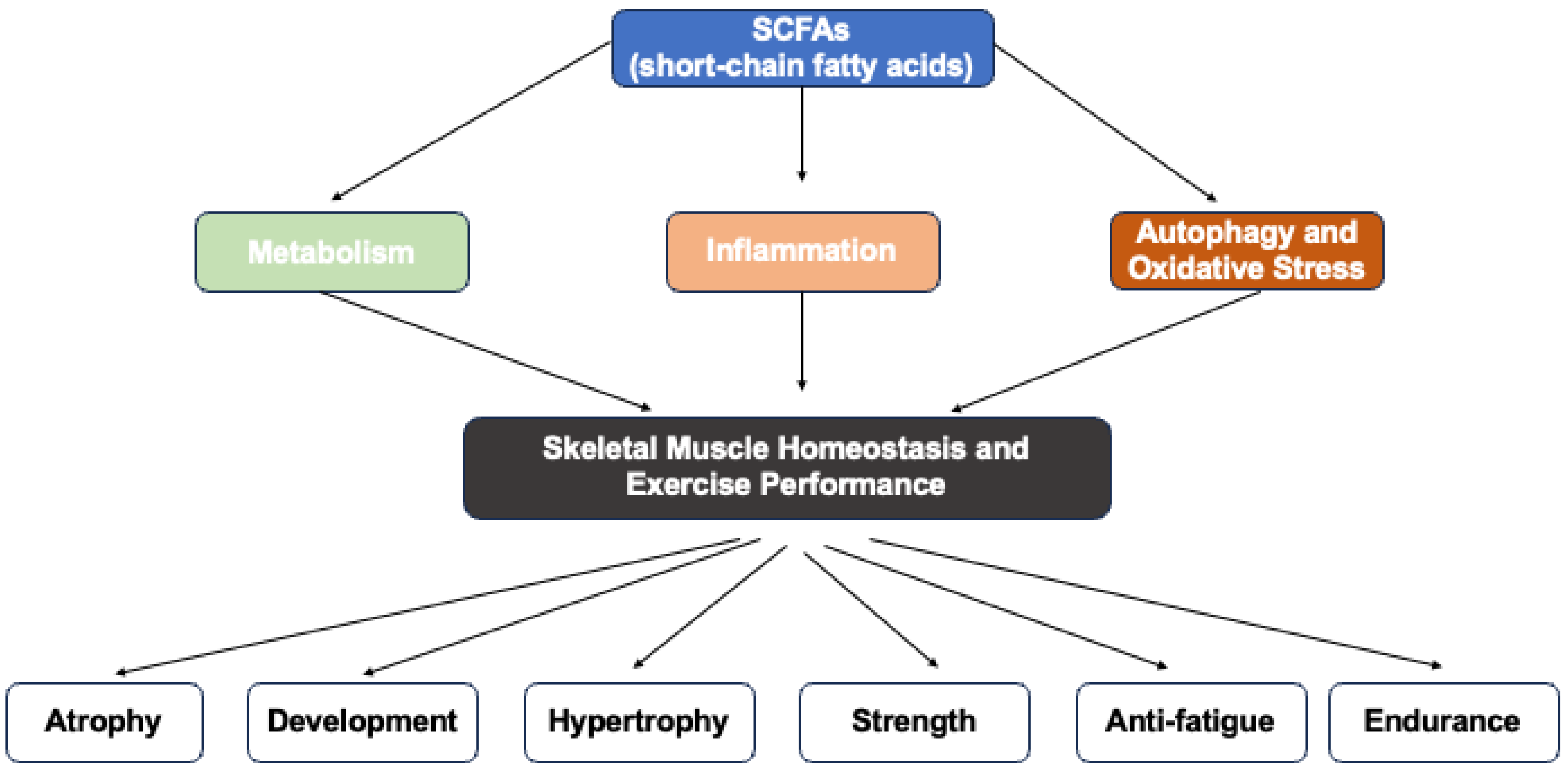 Nutrients 17 01463 g001