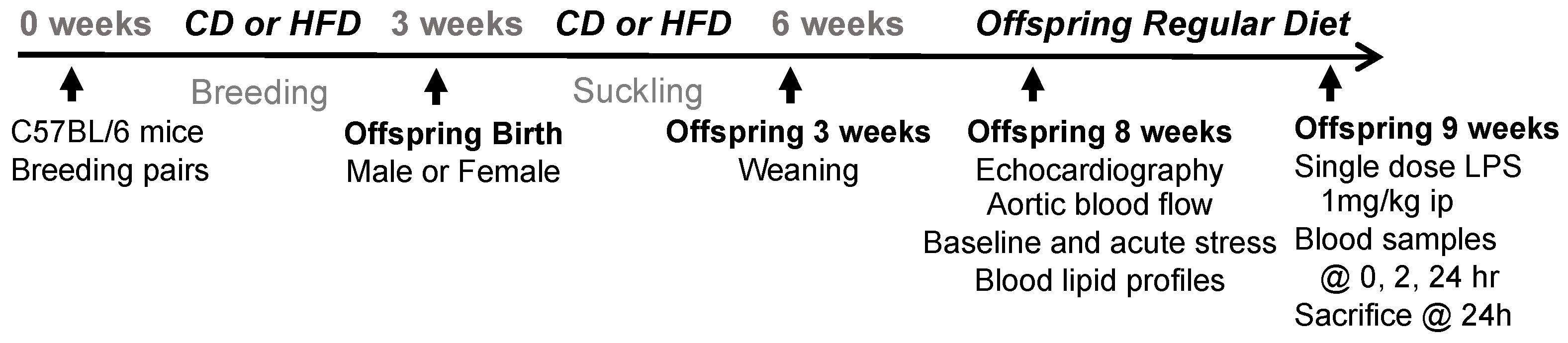 Nutrients 17 01464 g001