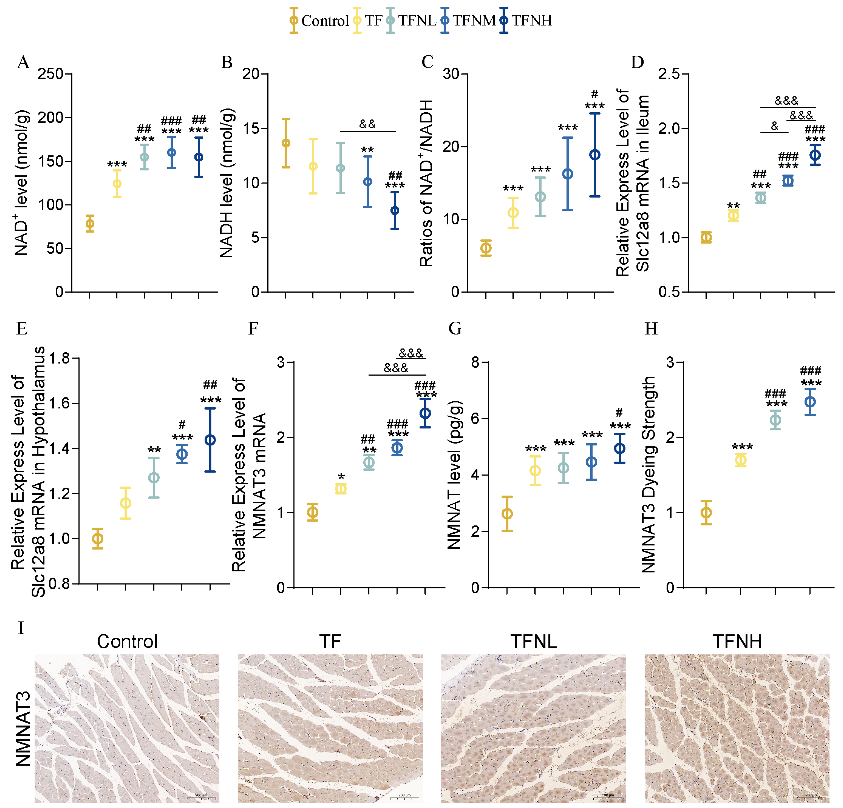 Nutrients 17 01467 g006