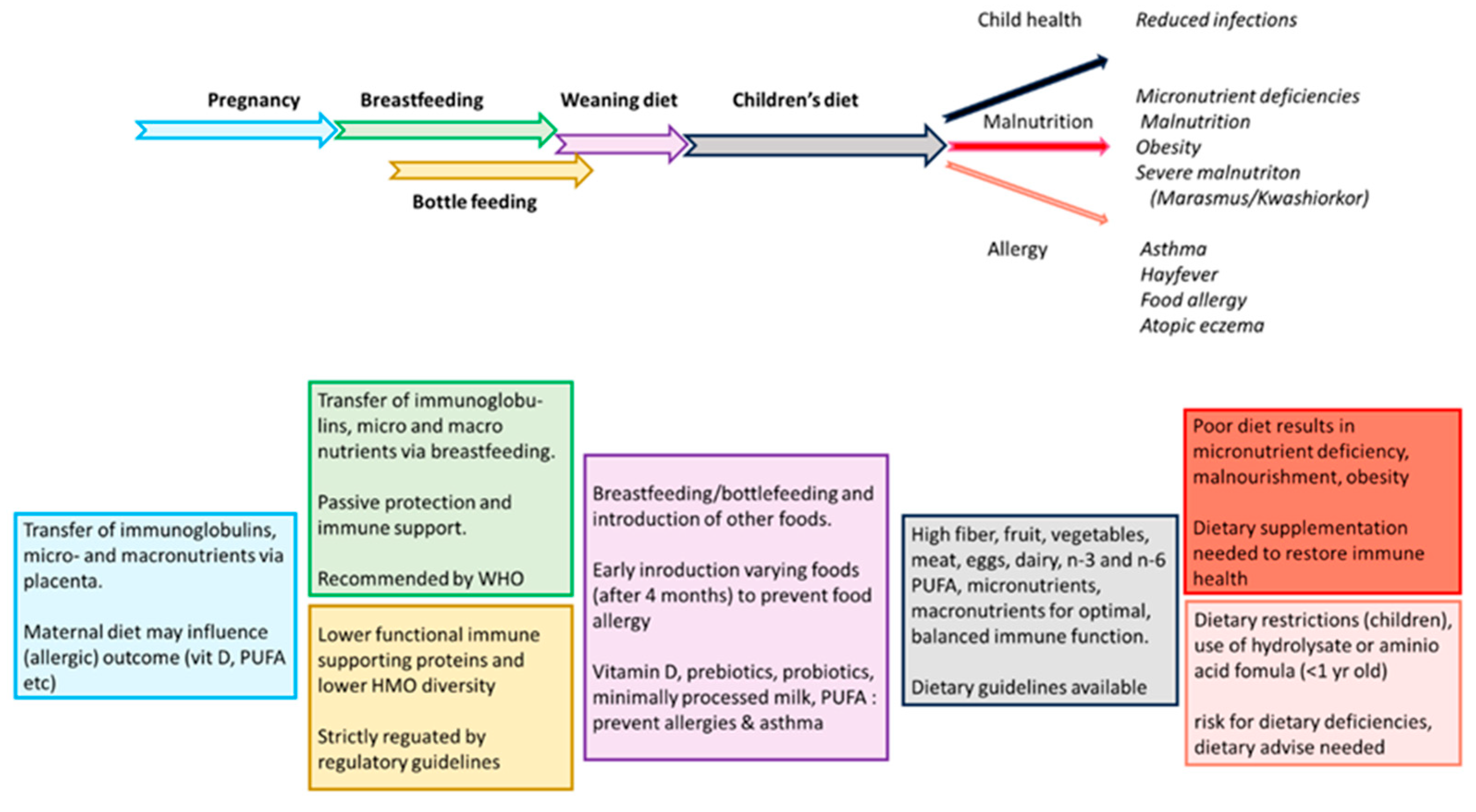 Nutrients 17 01469 g004