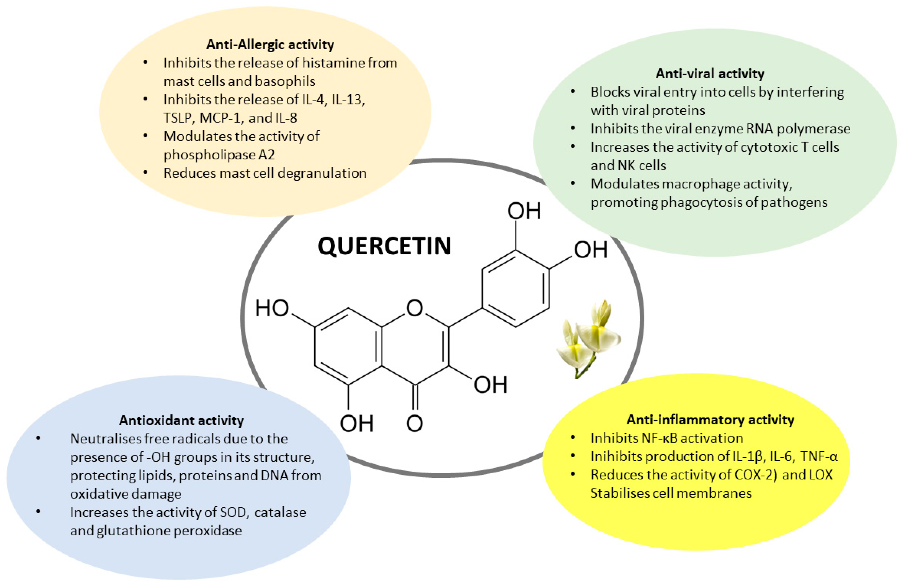 Nutrients 17 01476 g001