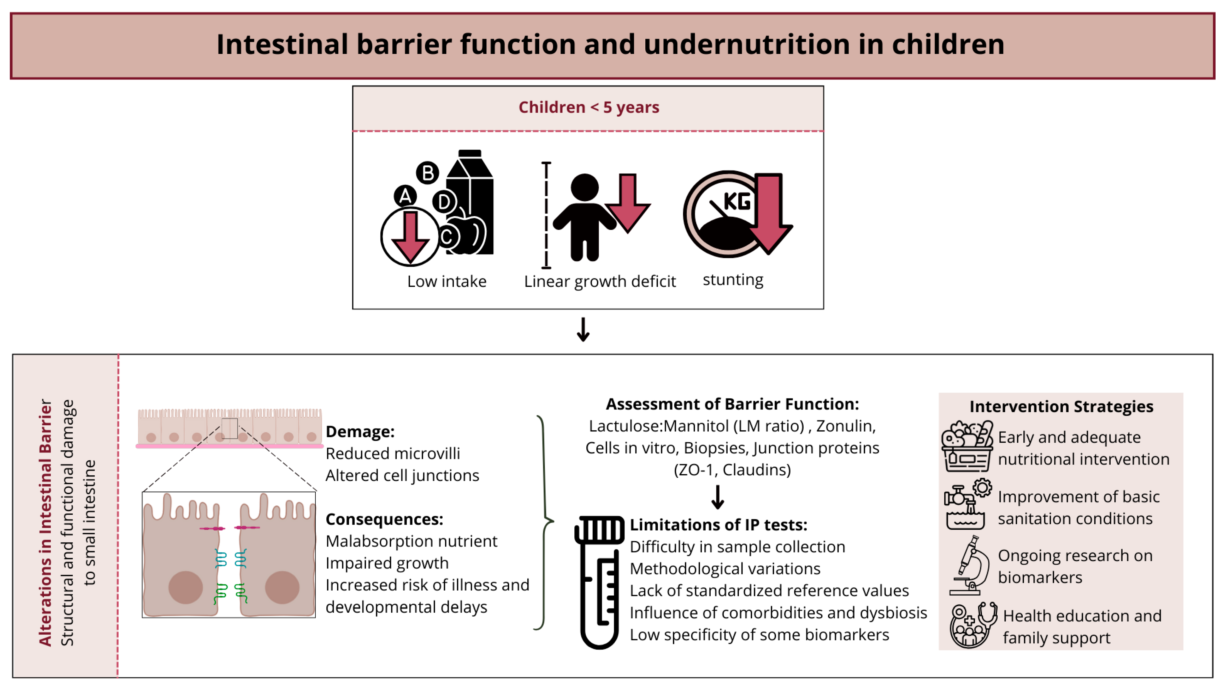 Nutrients 17 01479 g003 Nutrients 17 01479 g003