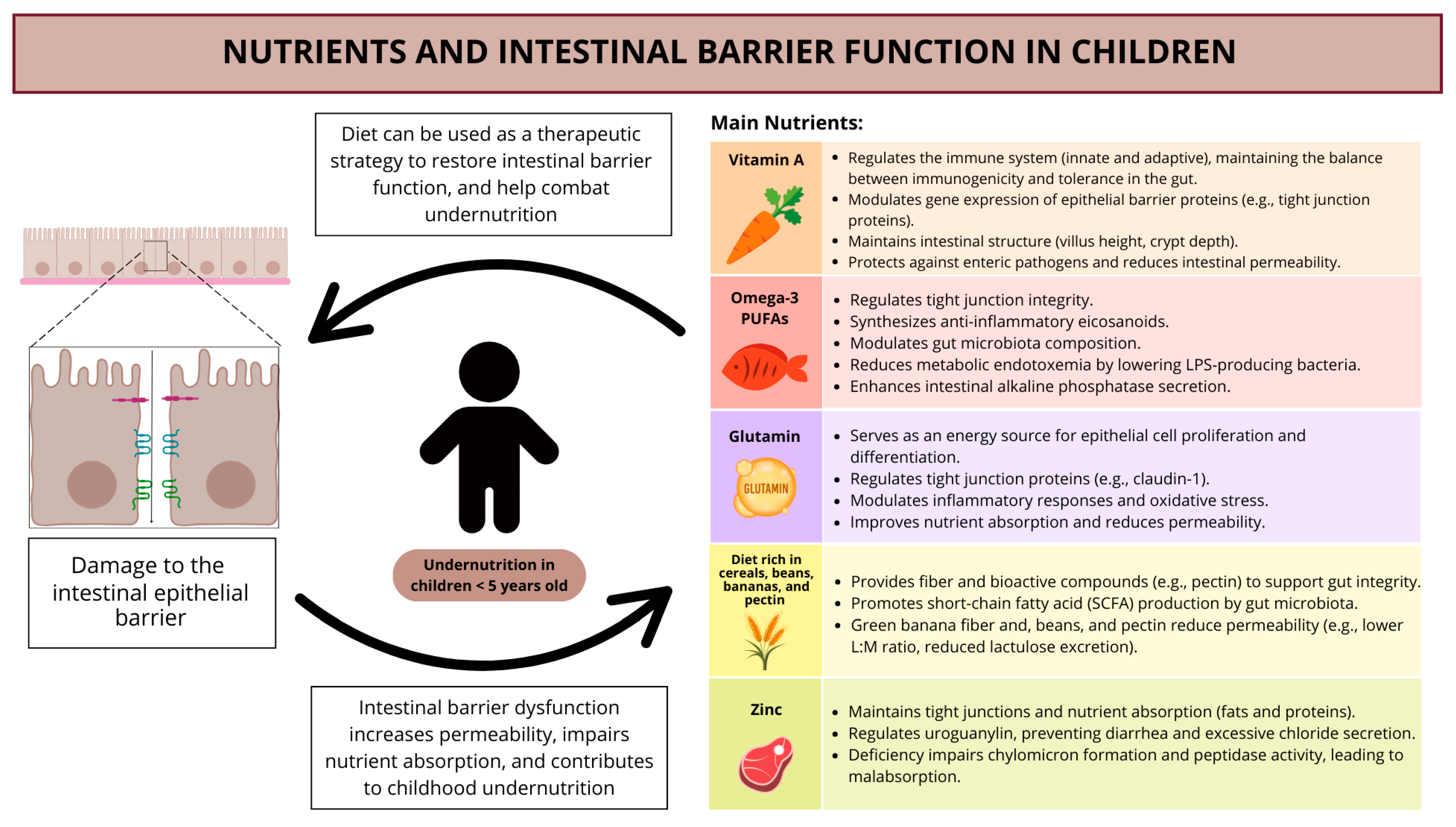 Nutrients 17 01479 g004 Nutrients 17 01479 g004