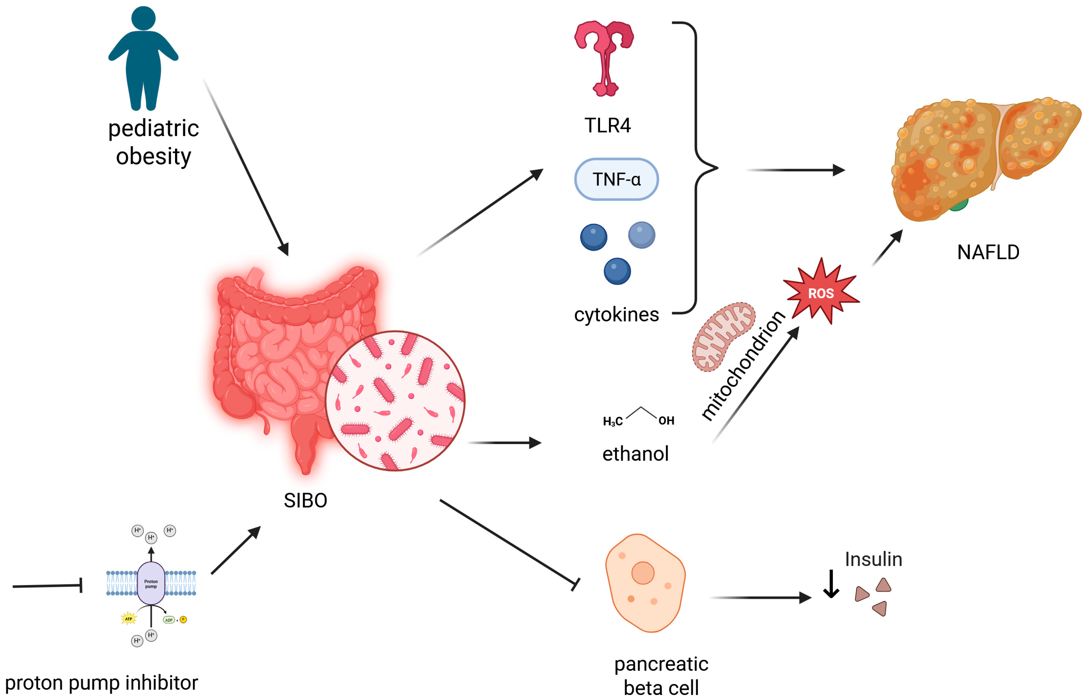 Nutrients 17 01499 g002
