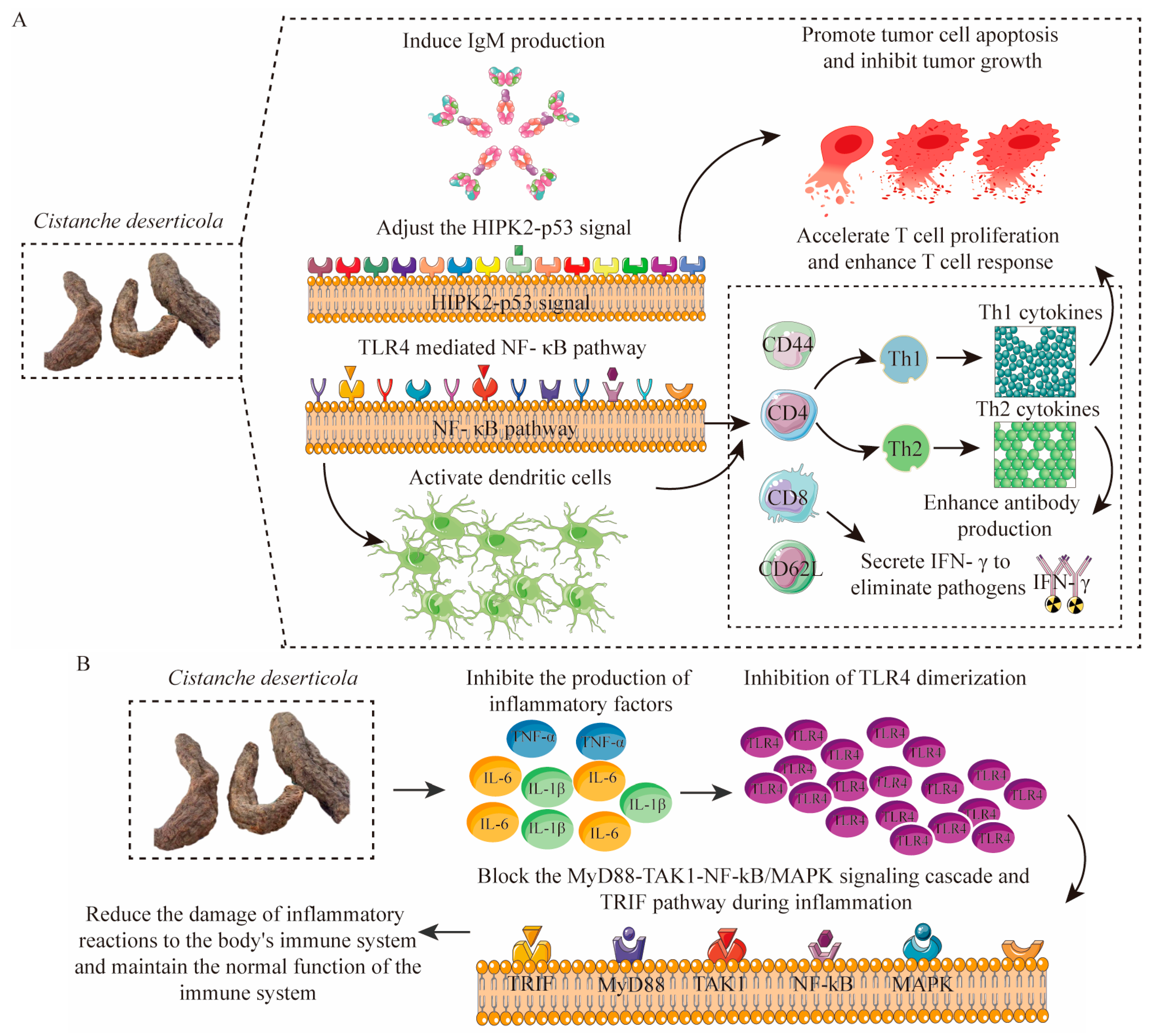 Nutrients 17 01501 g005