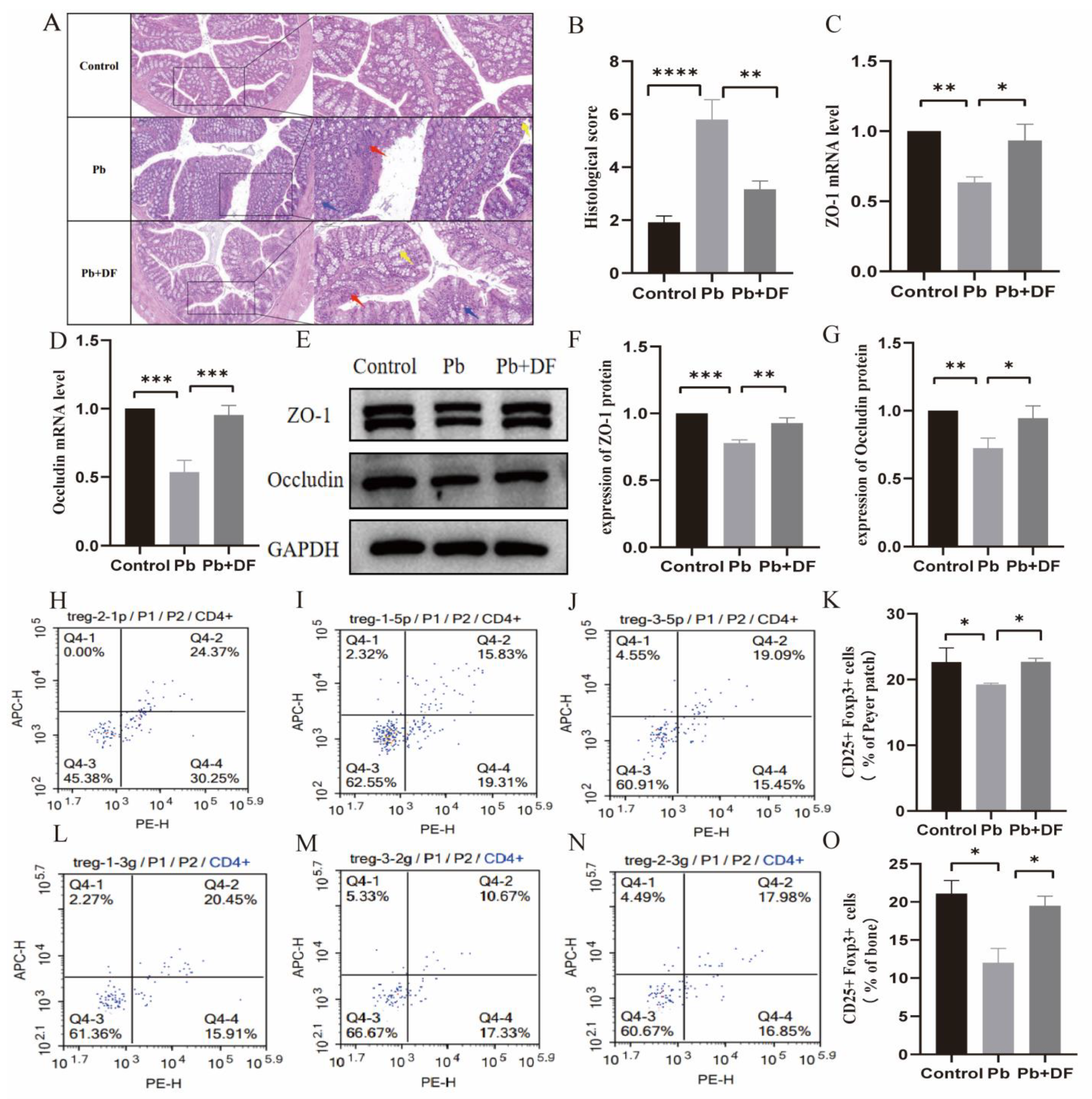 Nutrients 17 01513 g003