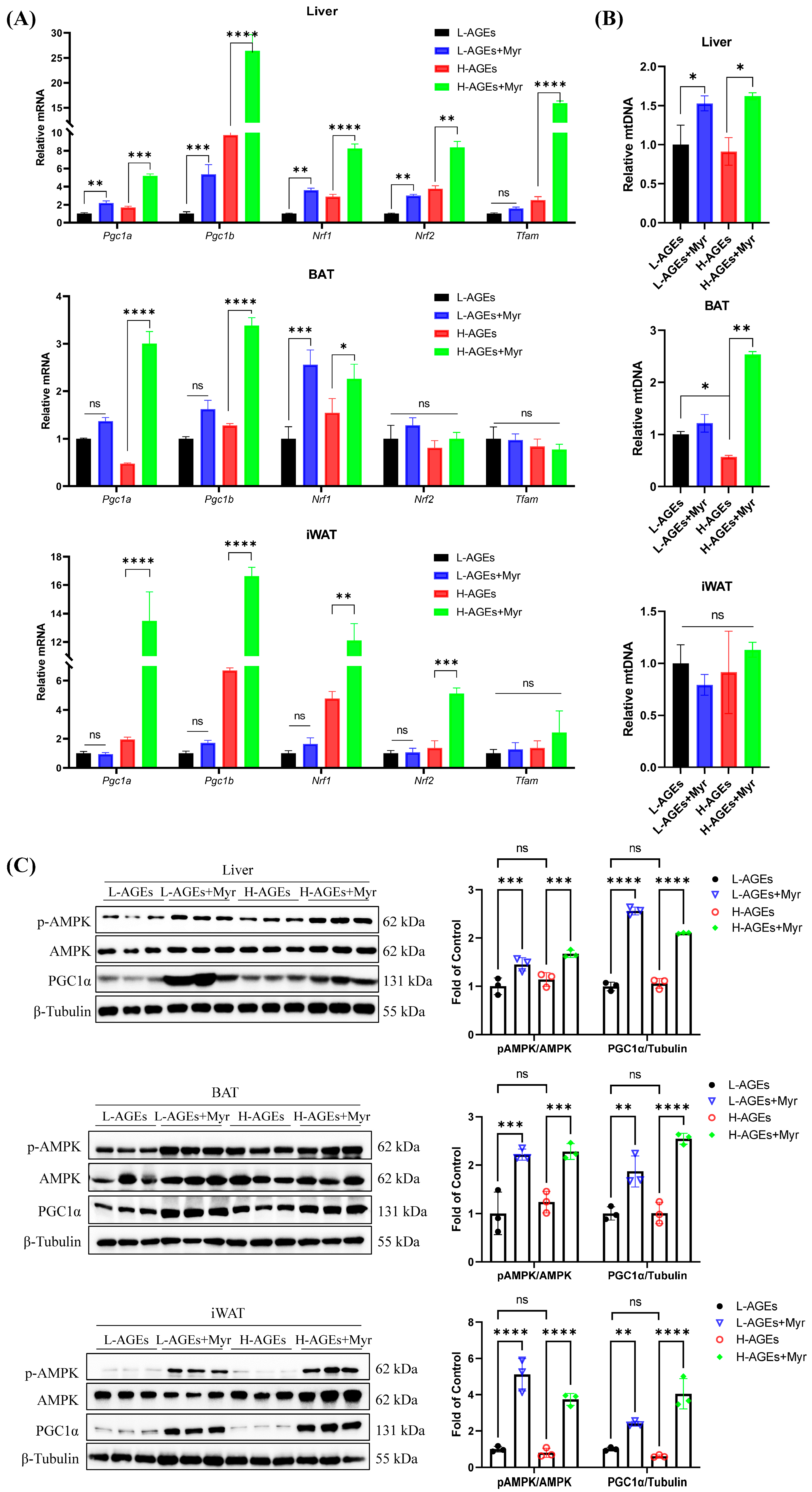 Nutrients 17 01549 g007