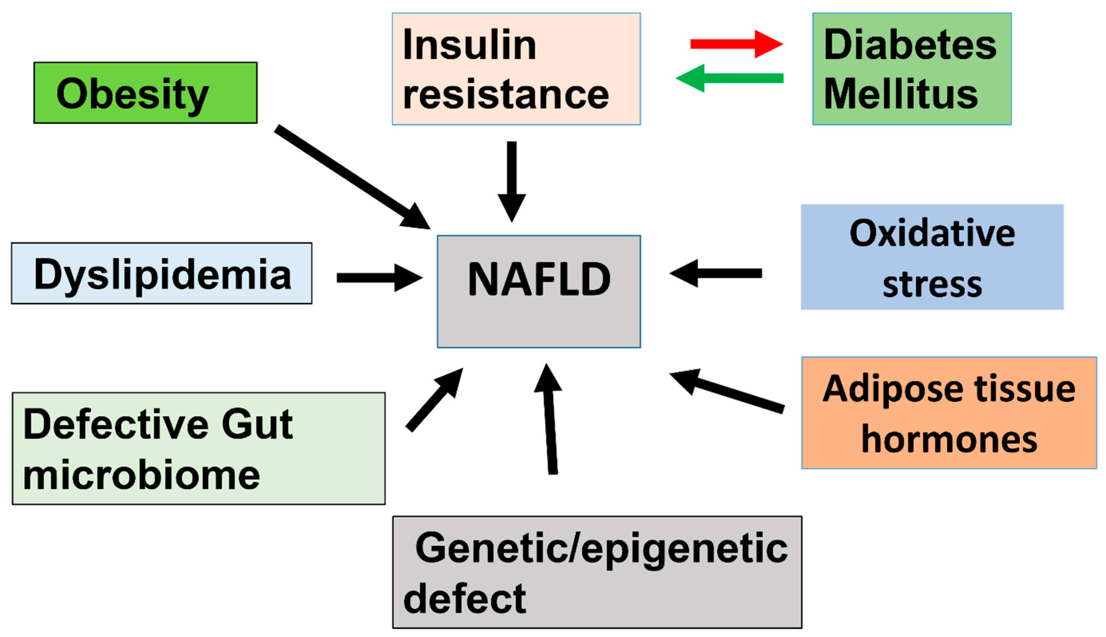 Nutrients 17 01797 g003