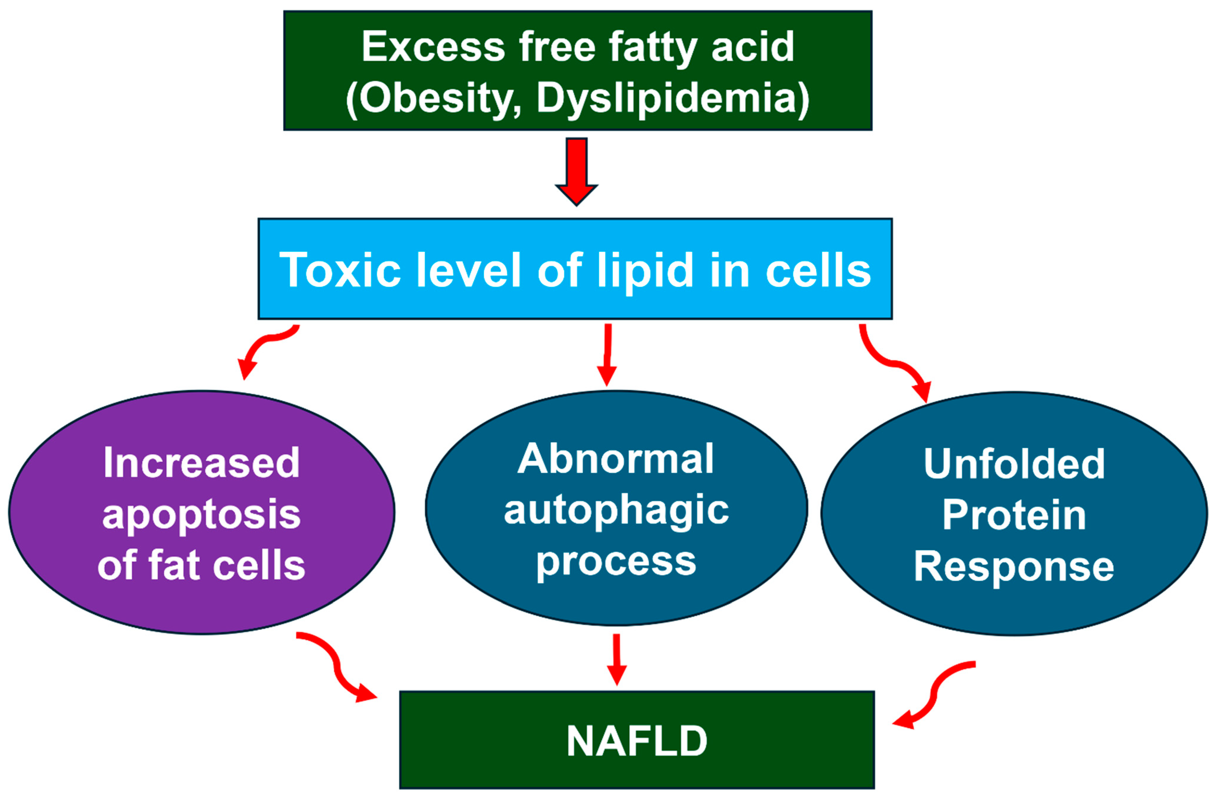 Nutrients 17 01797 g004