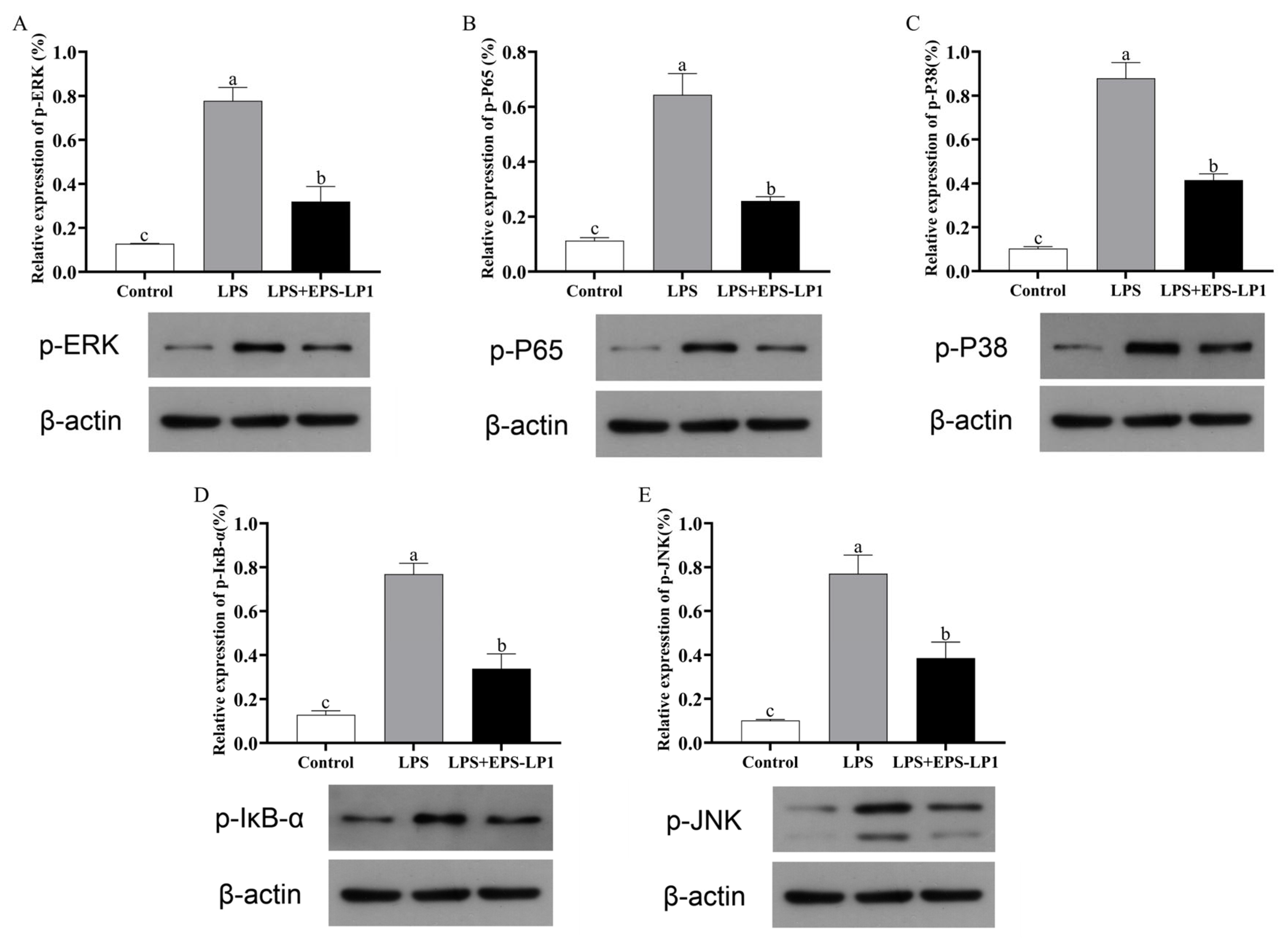 Nutrients 17 02265 g006