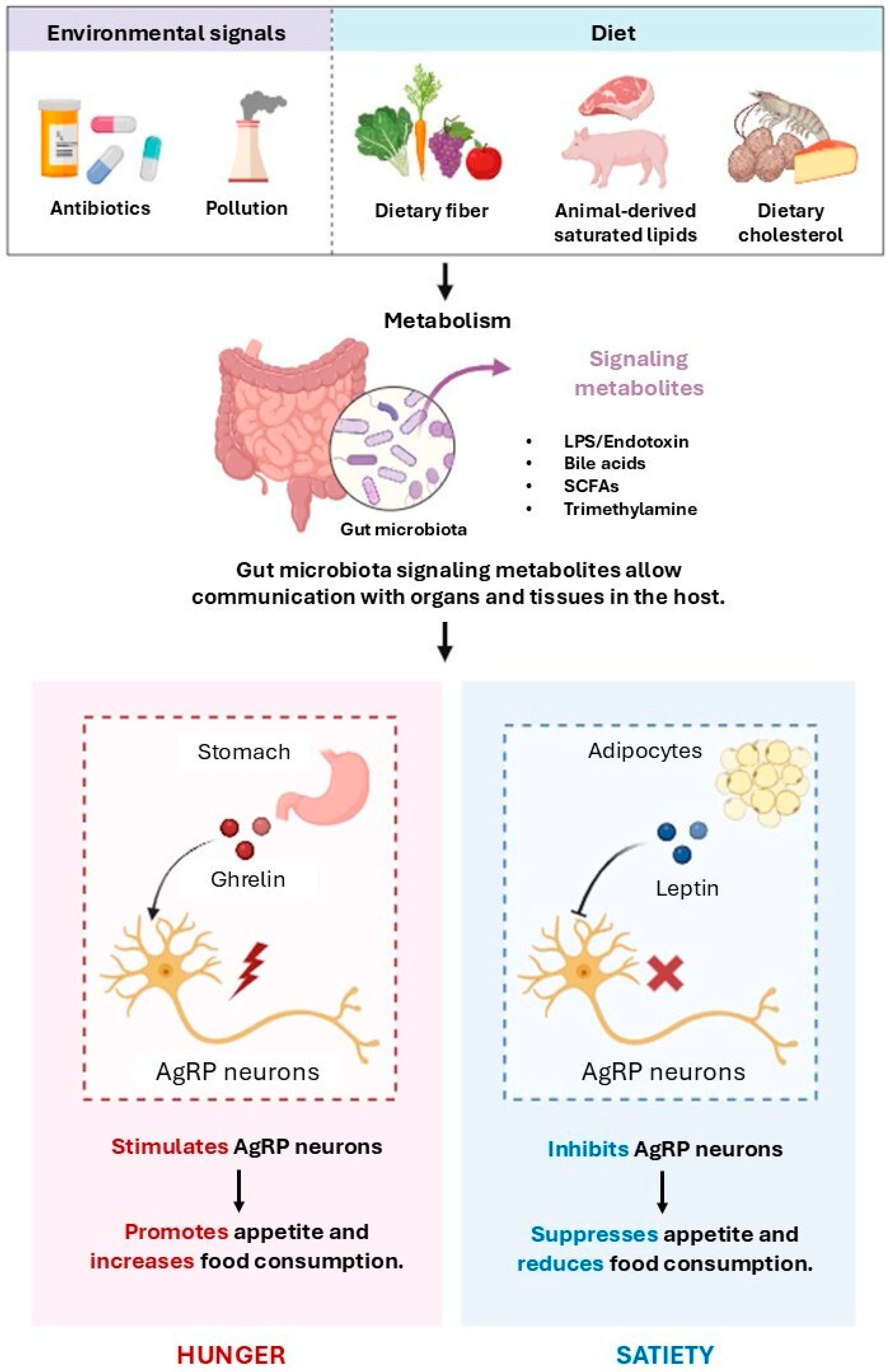 Nutrients 17 02316 g001