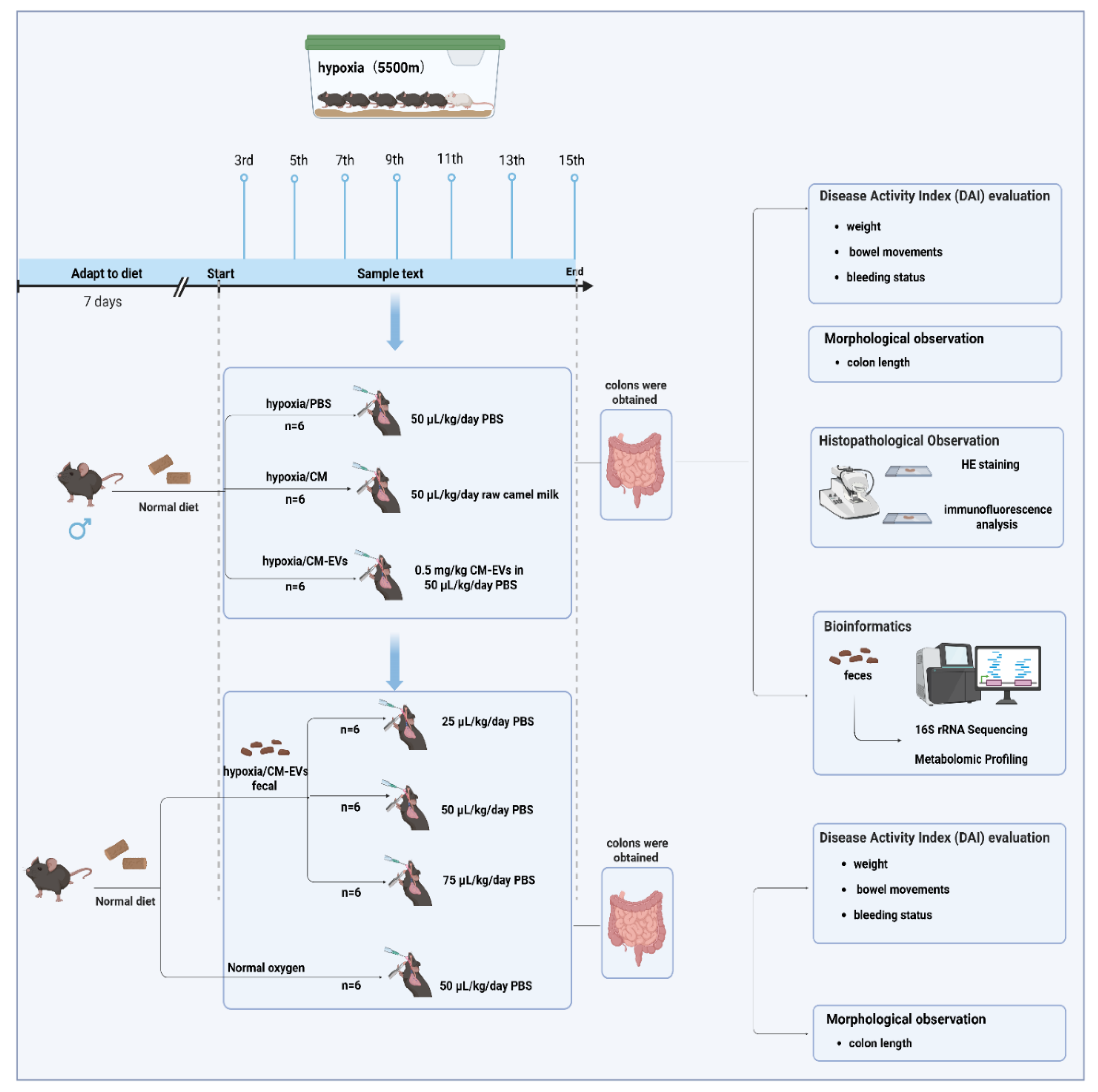 Nutrients 17 02431 g001