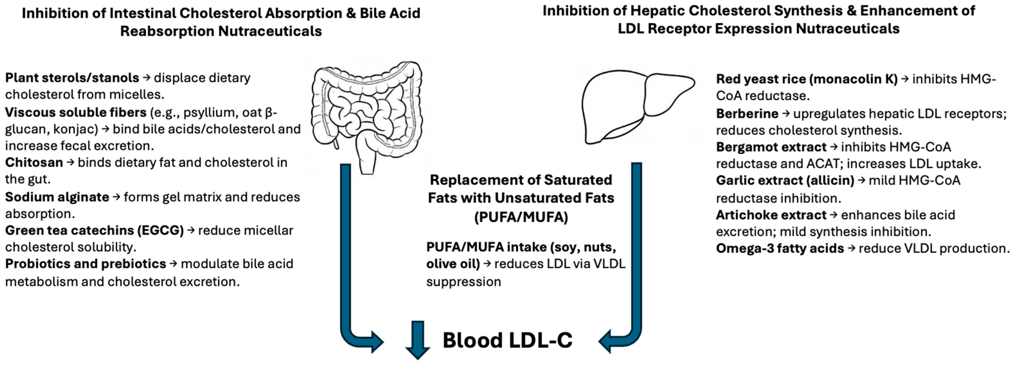 Nutrients 17 02648 g001 Nutrients 17 02648 g001