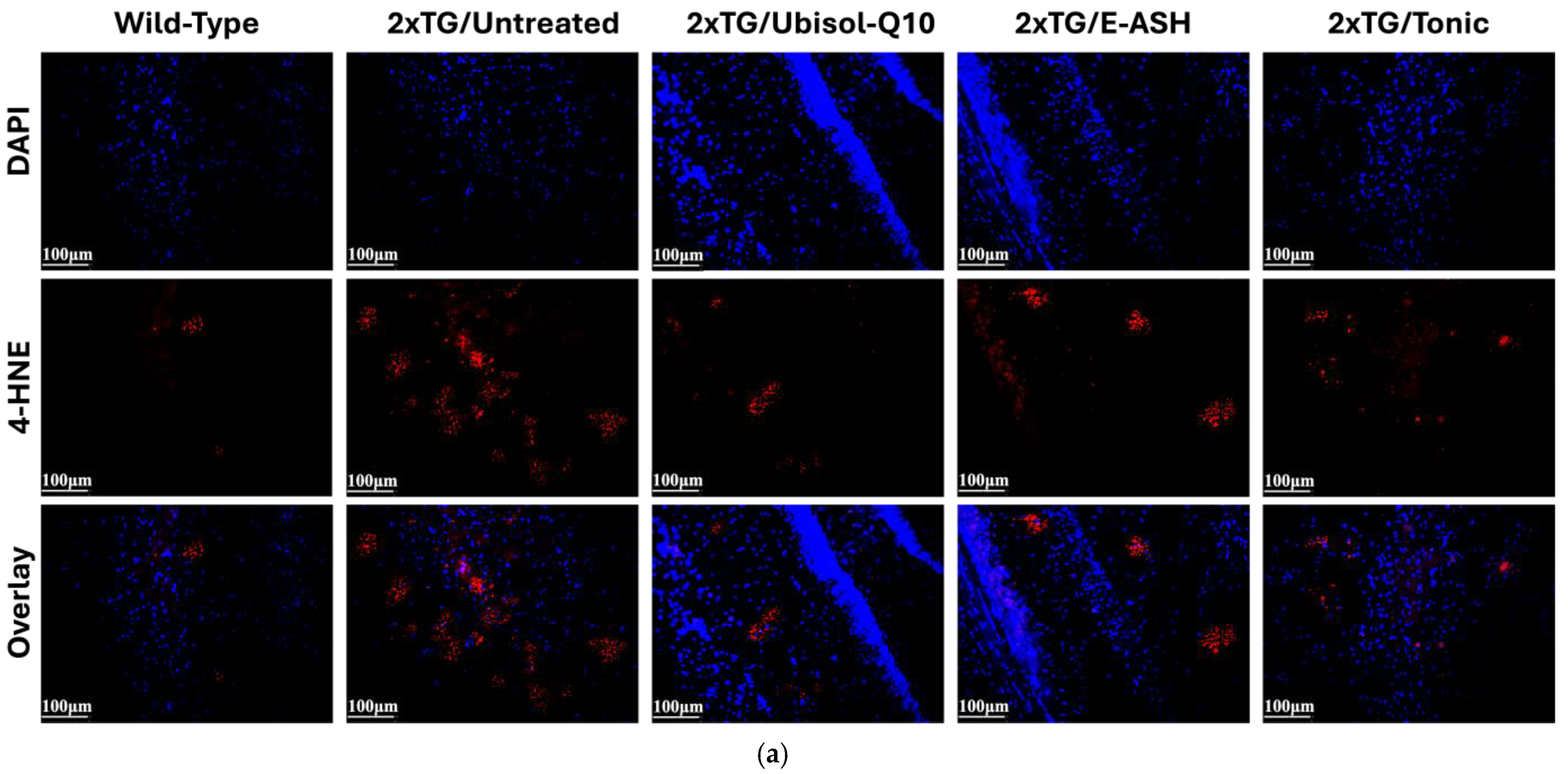 Nutrients 17 02701 g007a Nutrients 17 02701 g007a