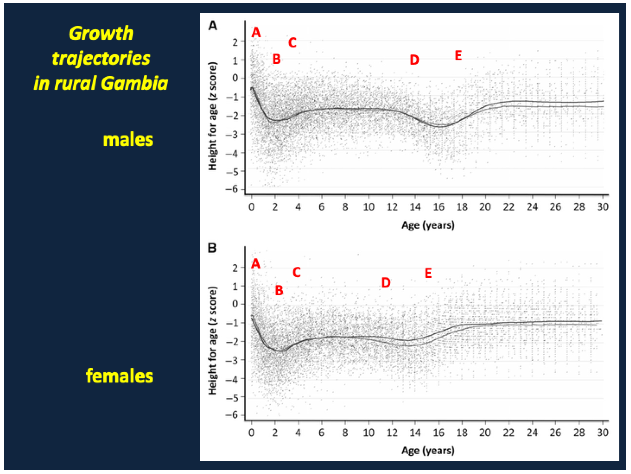 Nutrients 17 02864 g010 Nutrients 17 02864 g010