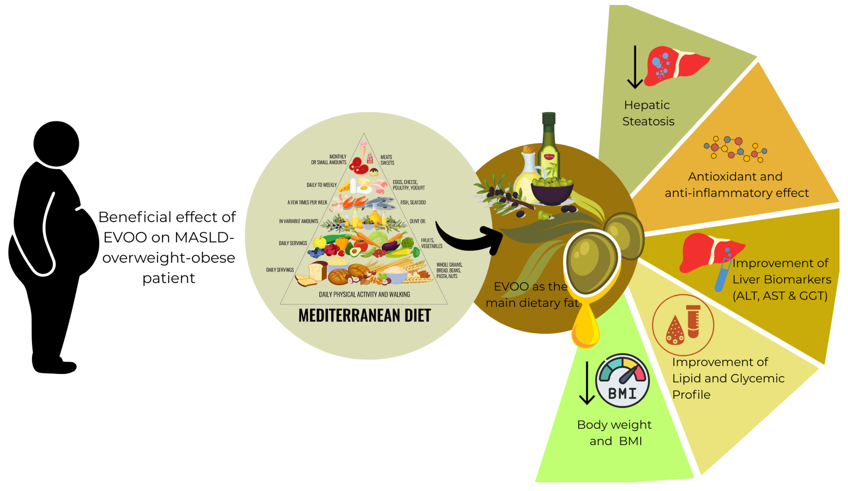Nutrients 17 02932 g001 Nutrients 17 02932 g001