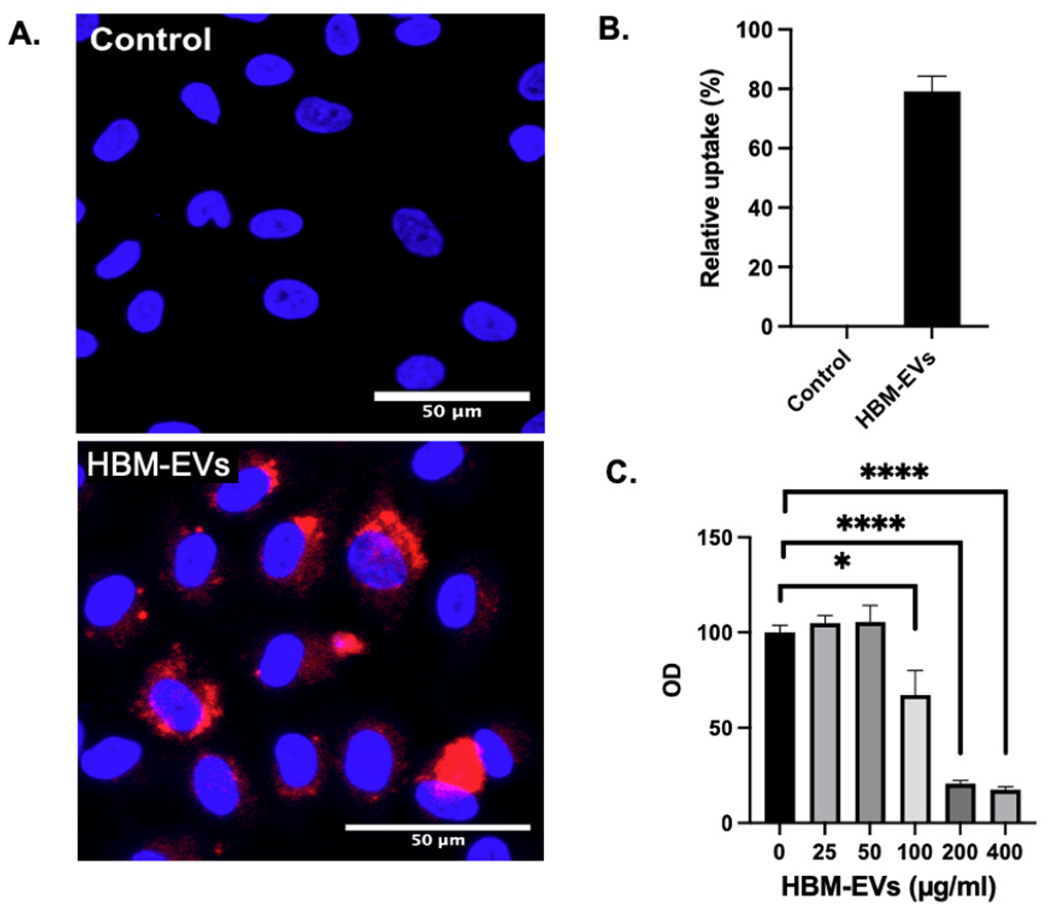 Nutrients 17 02953 g002 Nutrients 17 02953 g002