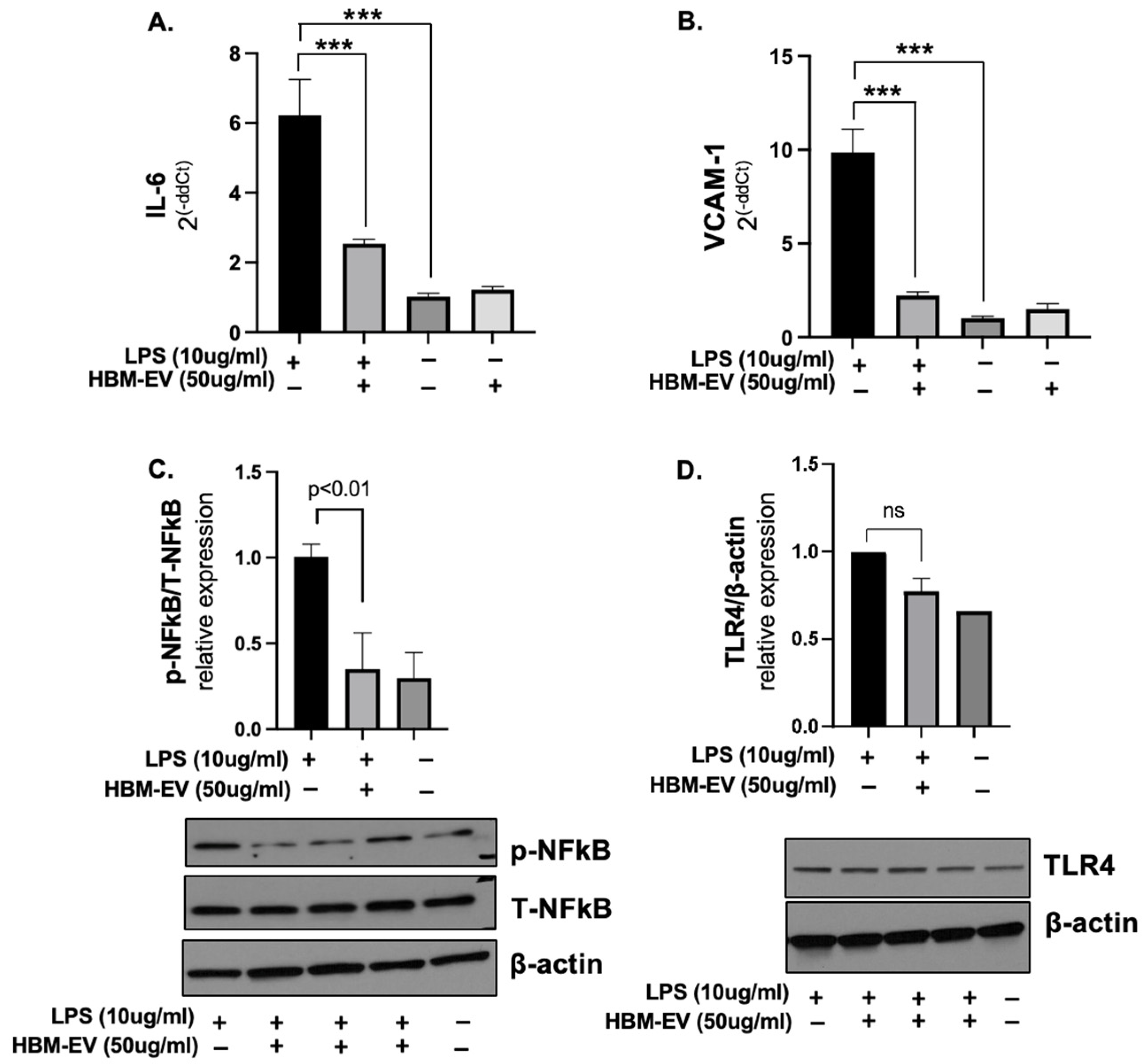 Nutrients 17 02953 g003 Nutrients 17 02953 g003