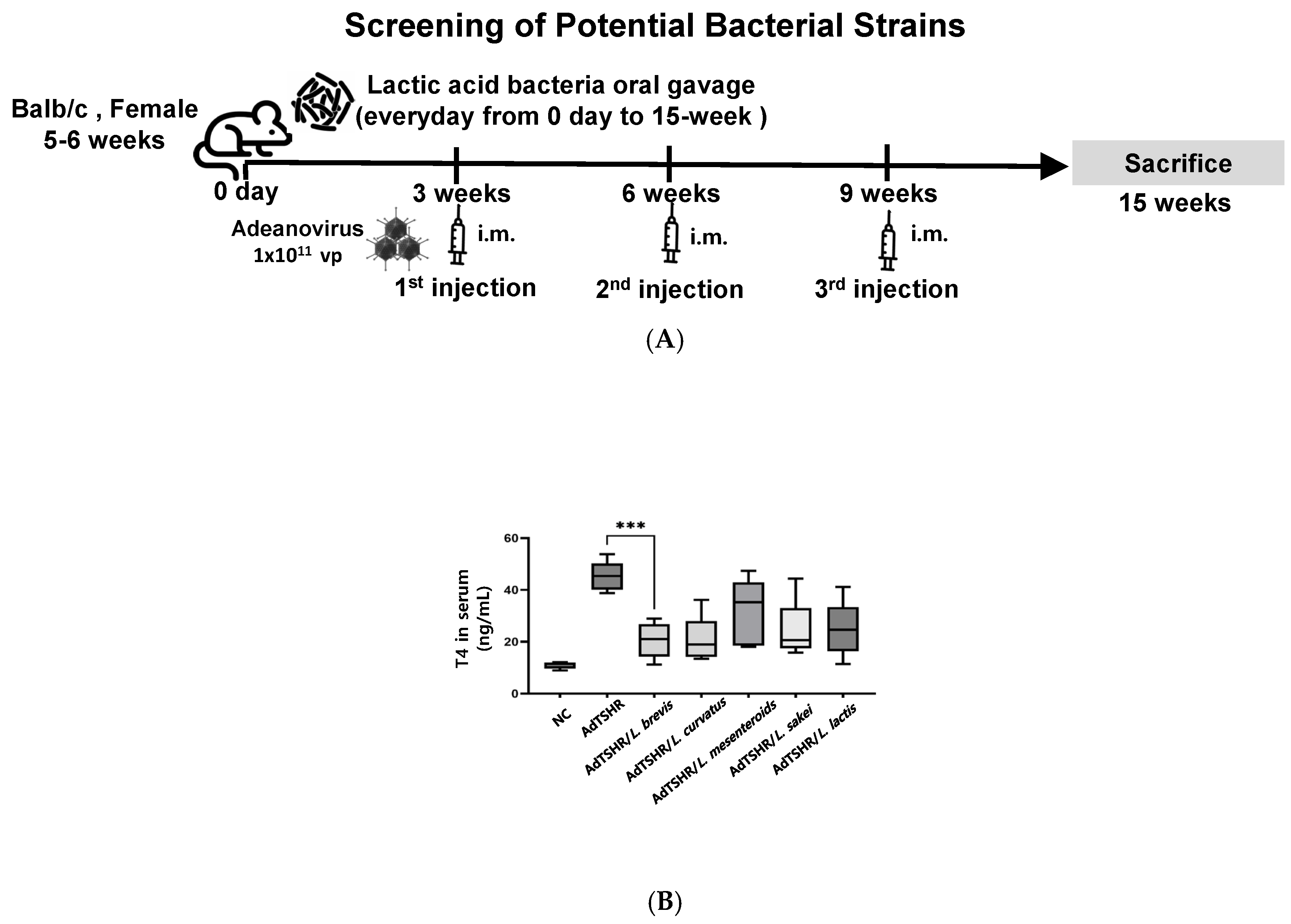 Nutrients 17 02967 g002 Nutrients 17 02967 g002