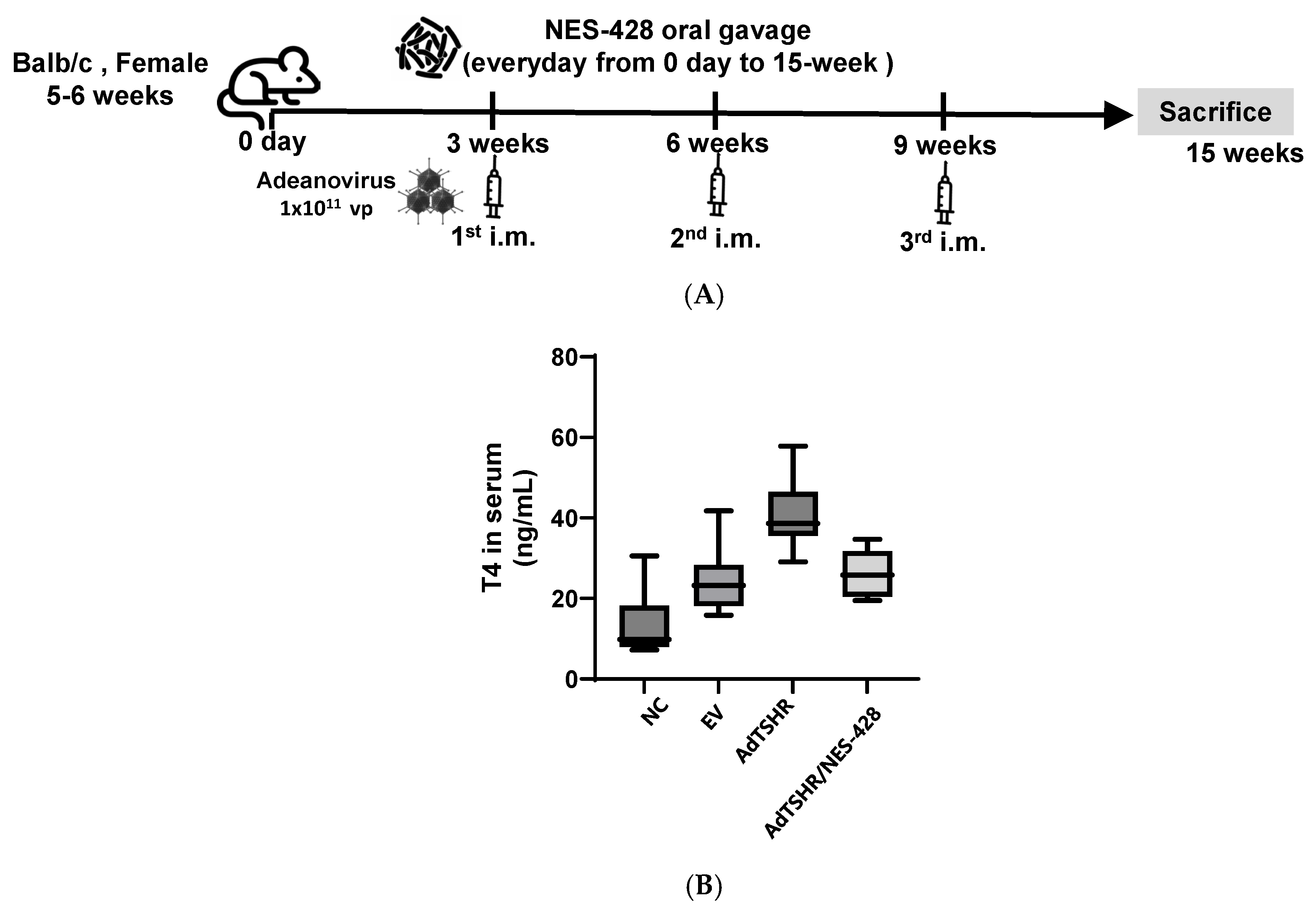 Nutrients 17 02967 g005 Nutrients 17 02967 g005