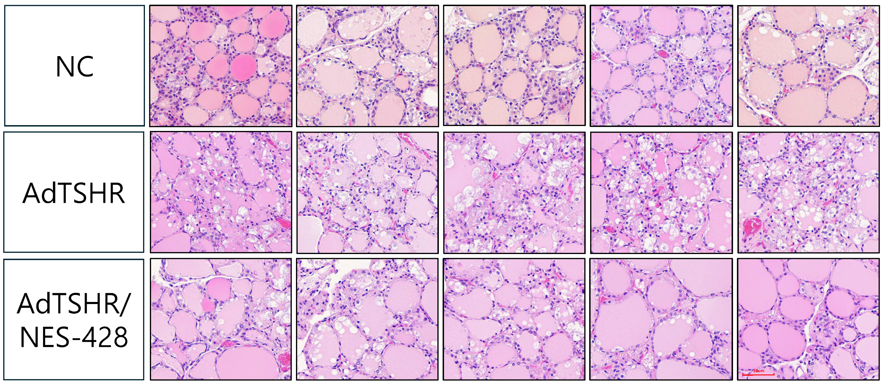 Nutrients 17 02967 g007 Nutrients 17 02967 g007