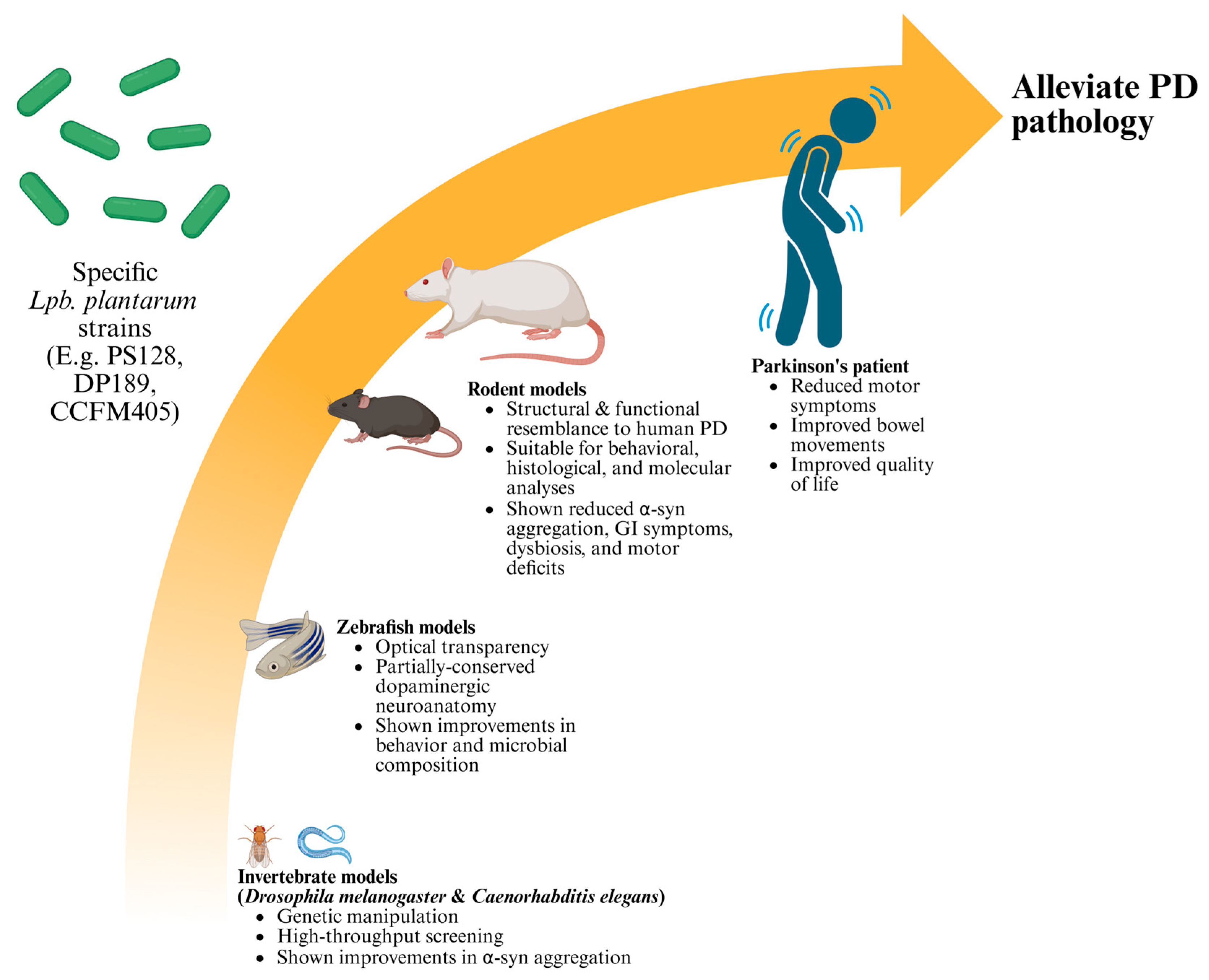 Nutrients 17 03047 g001 Nutrients 17 03047 g001
